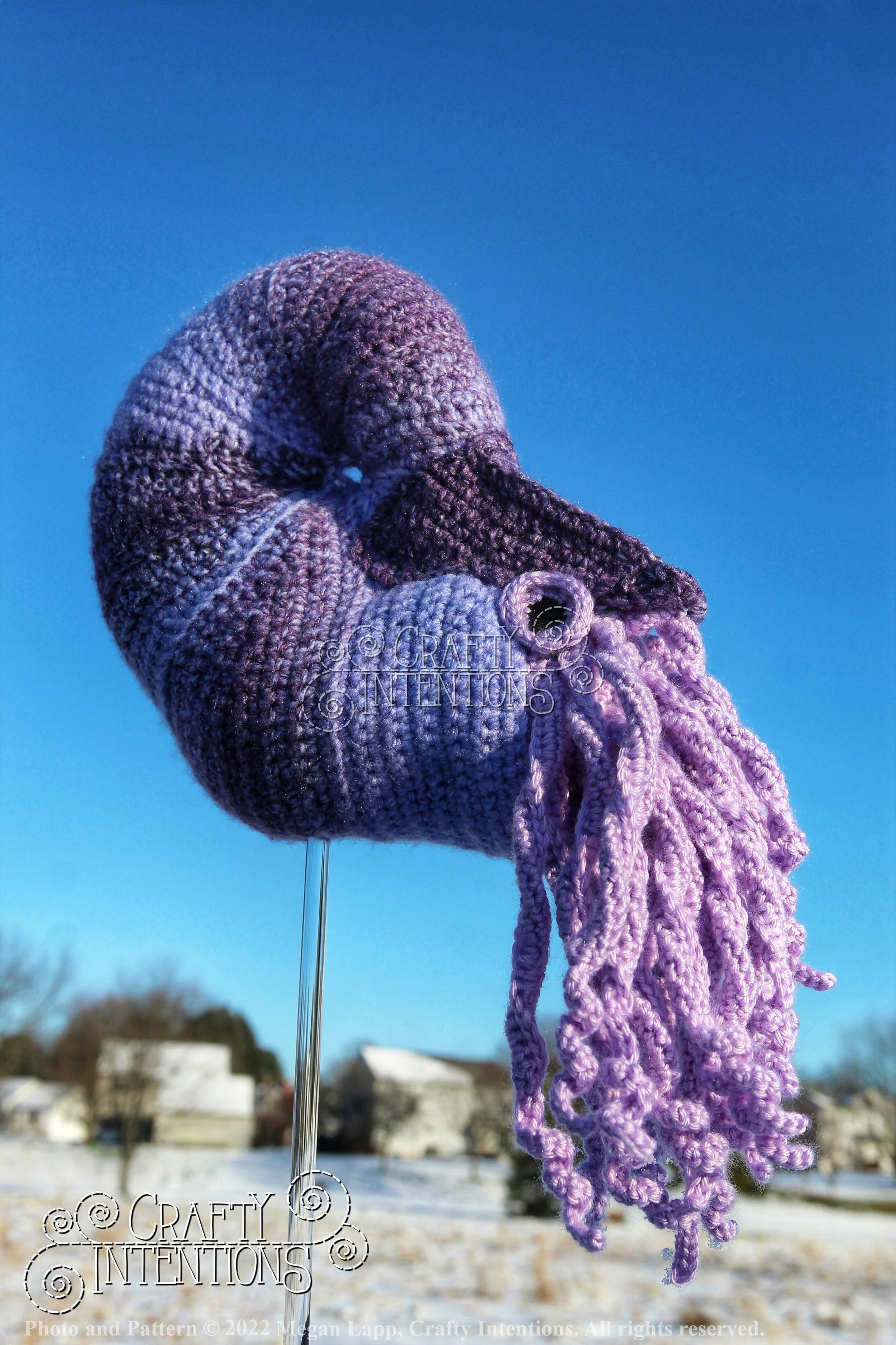 IMG_0832-01 with logo and copyright.jpg