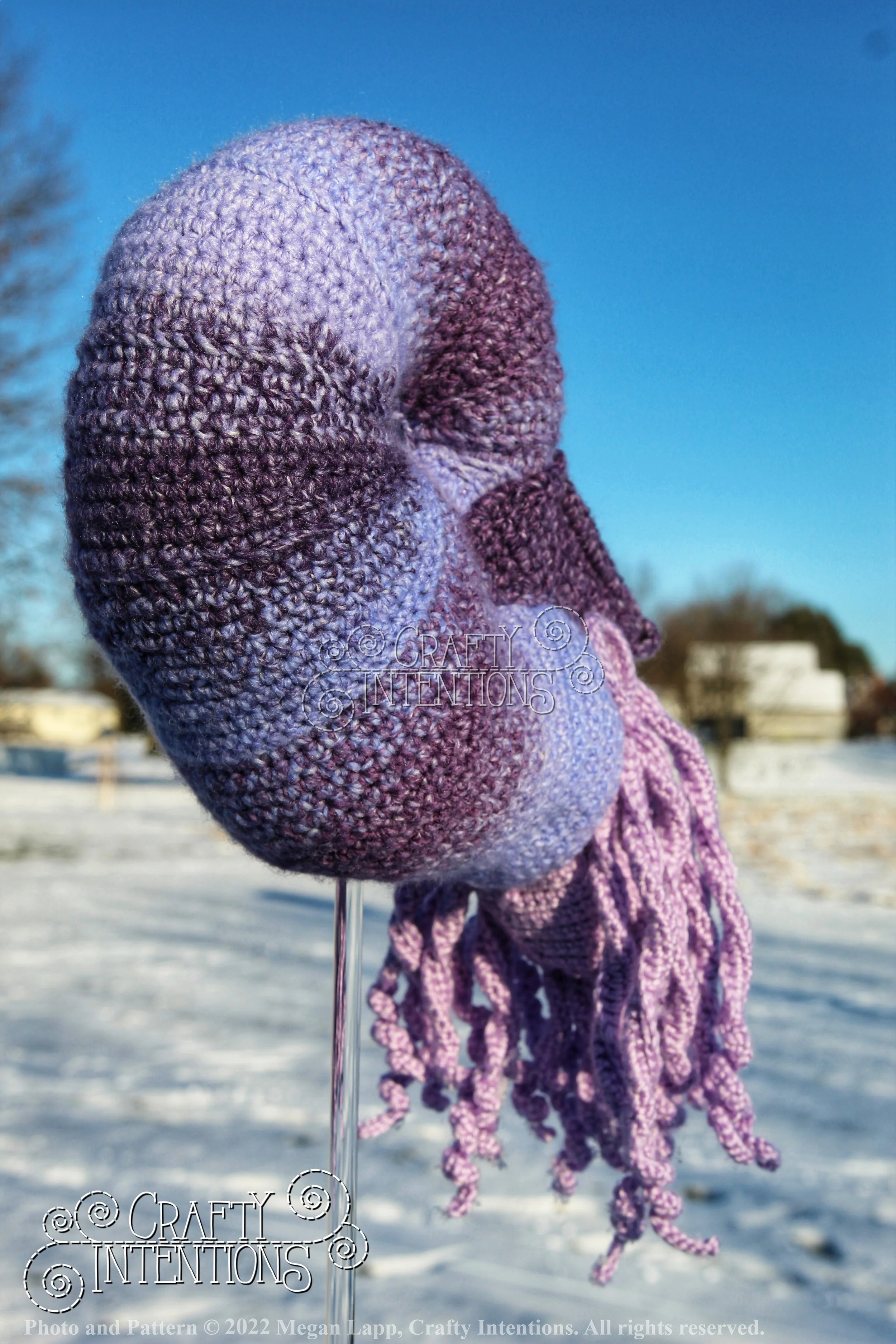 IMG_0838-01 with logo and copyright.jpg