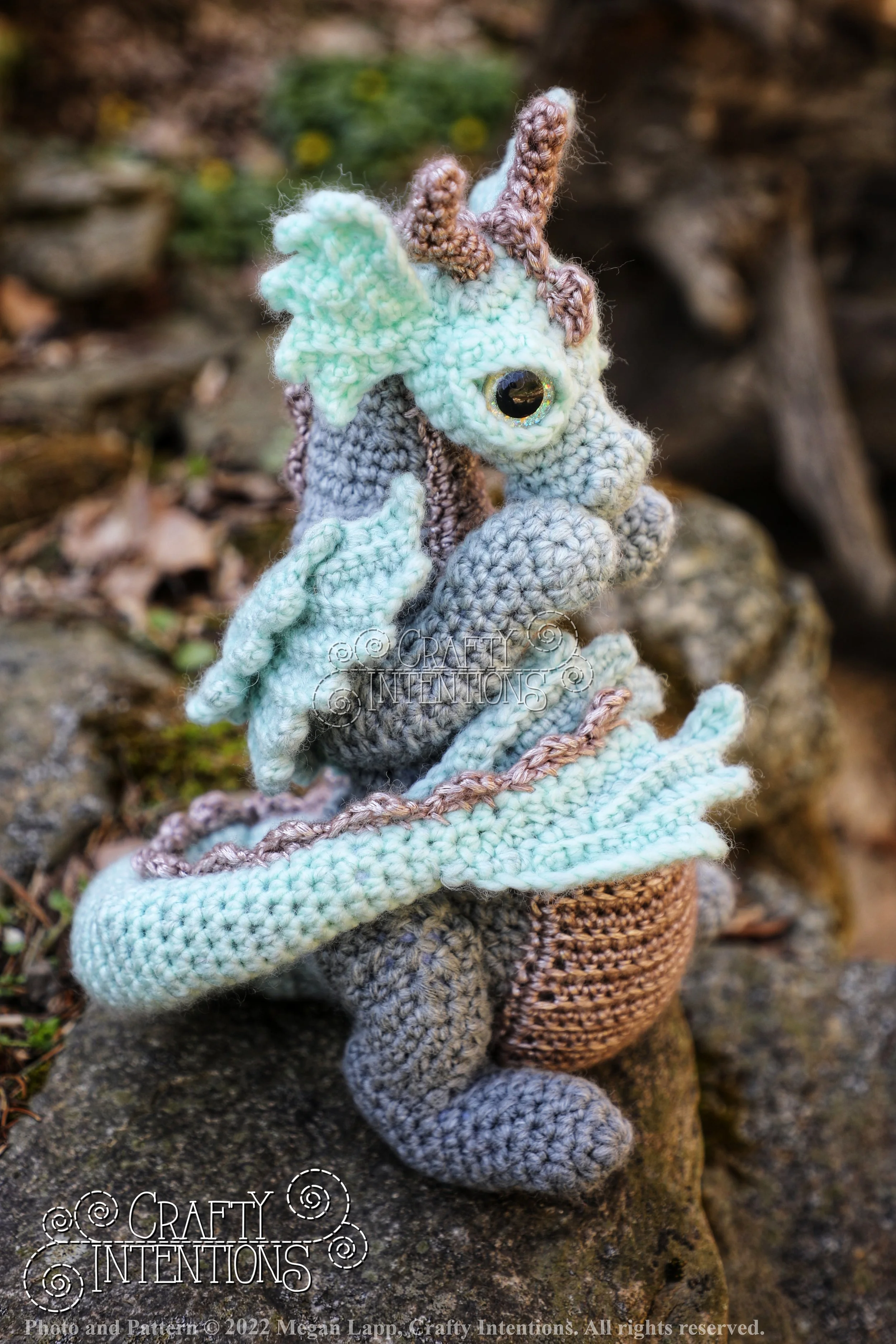 A52A0050-01 with logo and copyright.jpg