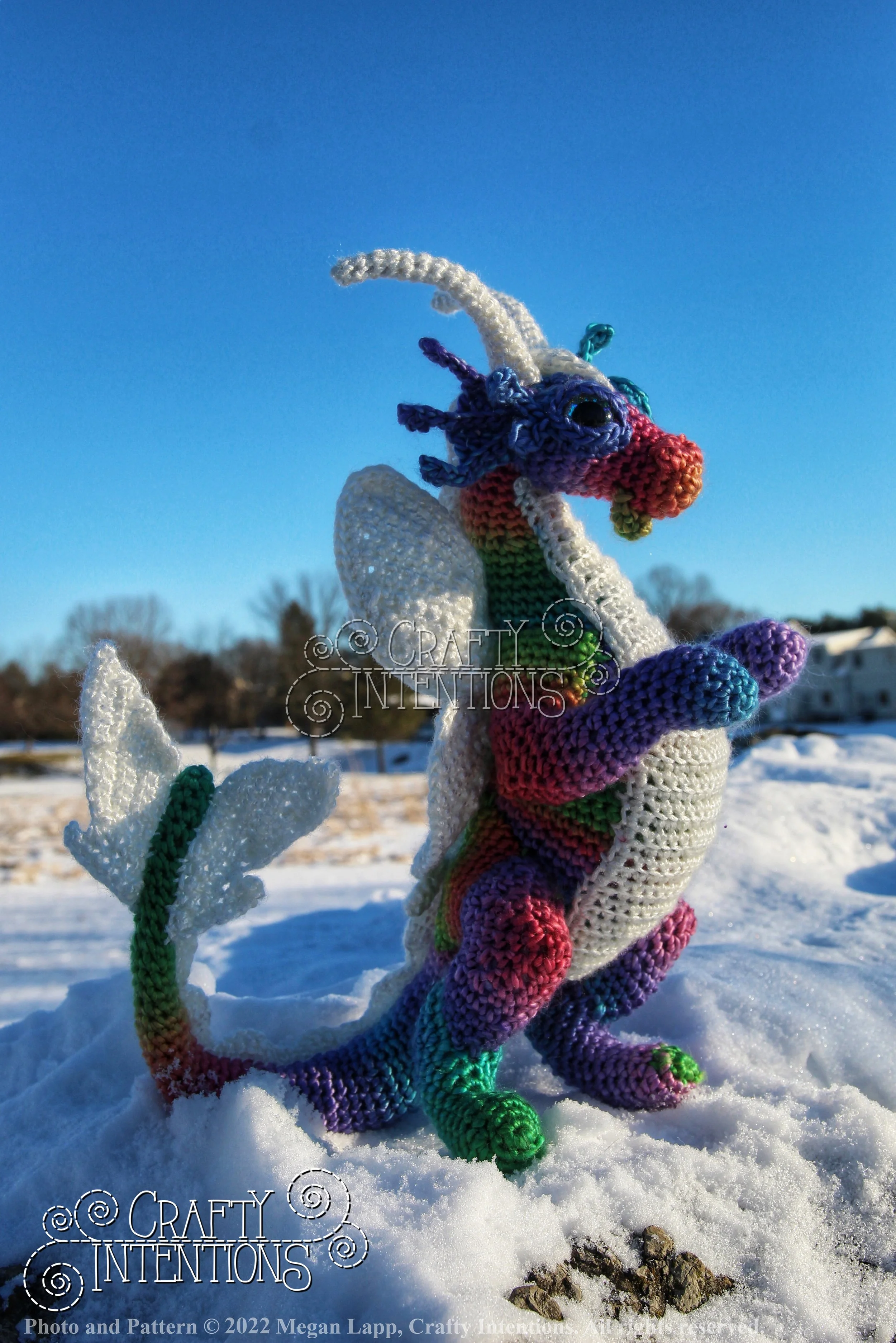 IMG_0895-01 with logo and copyright.jpg