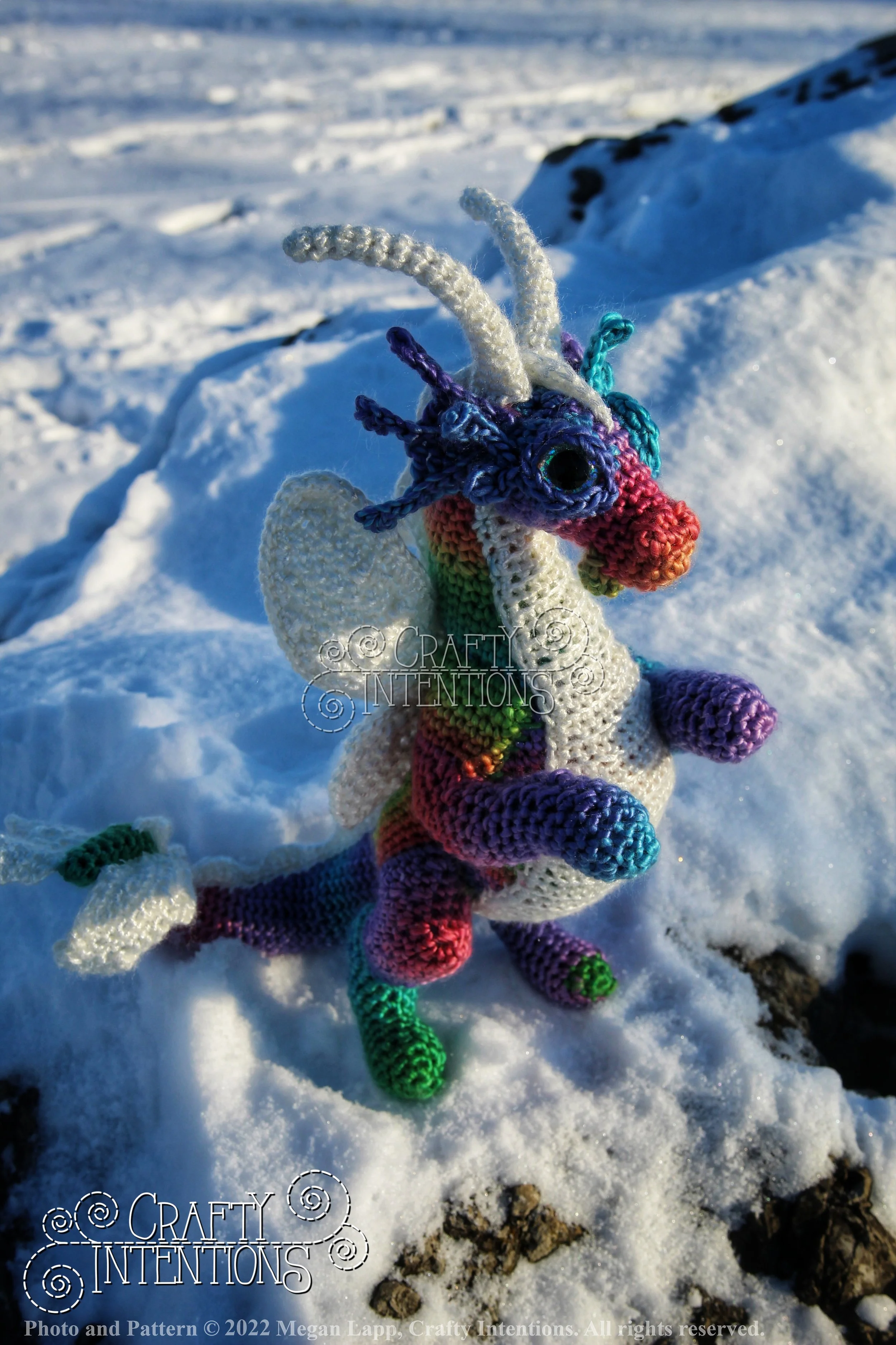 IMG_0888-01 with logo and copyright.jpg