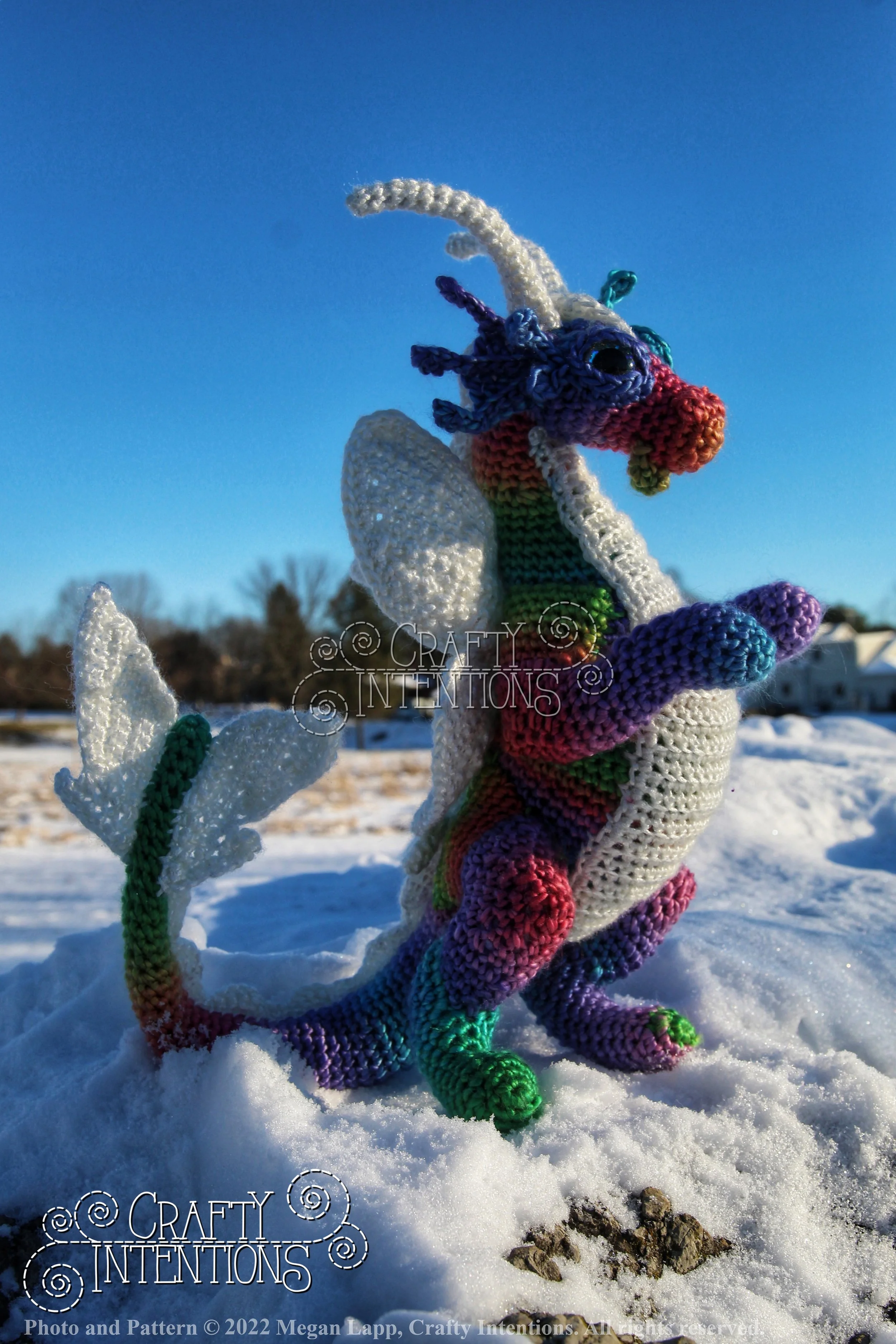 IMG_0903-01 with logo and copyright.jpg