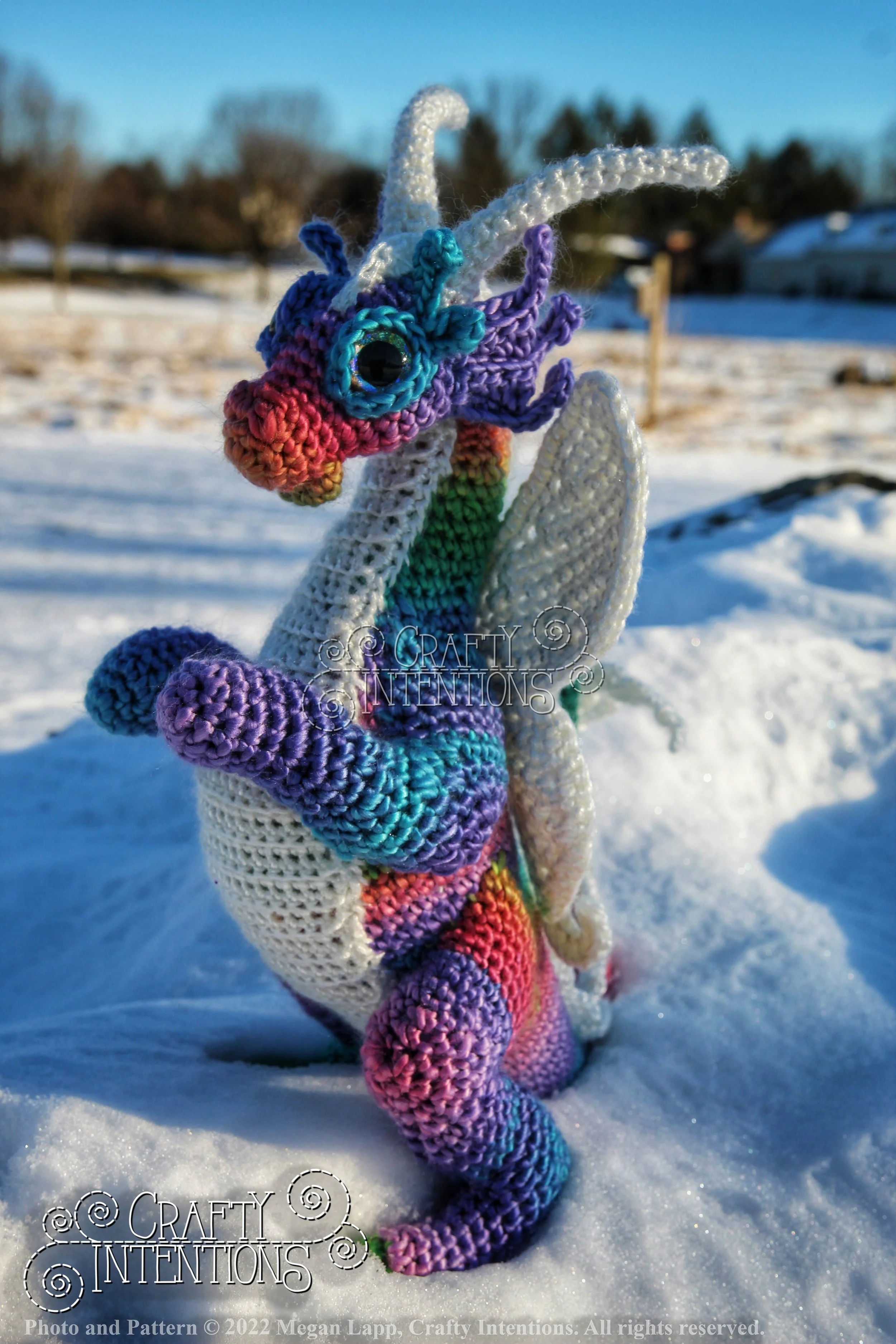 IMG_0918-01 with logo and copyright.jpg