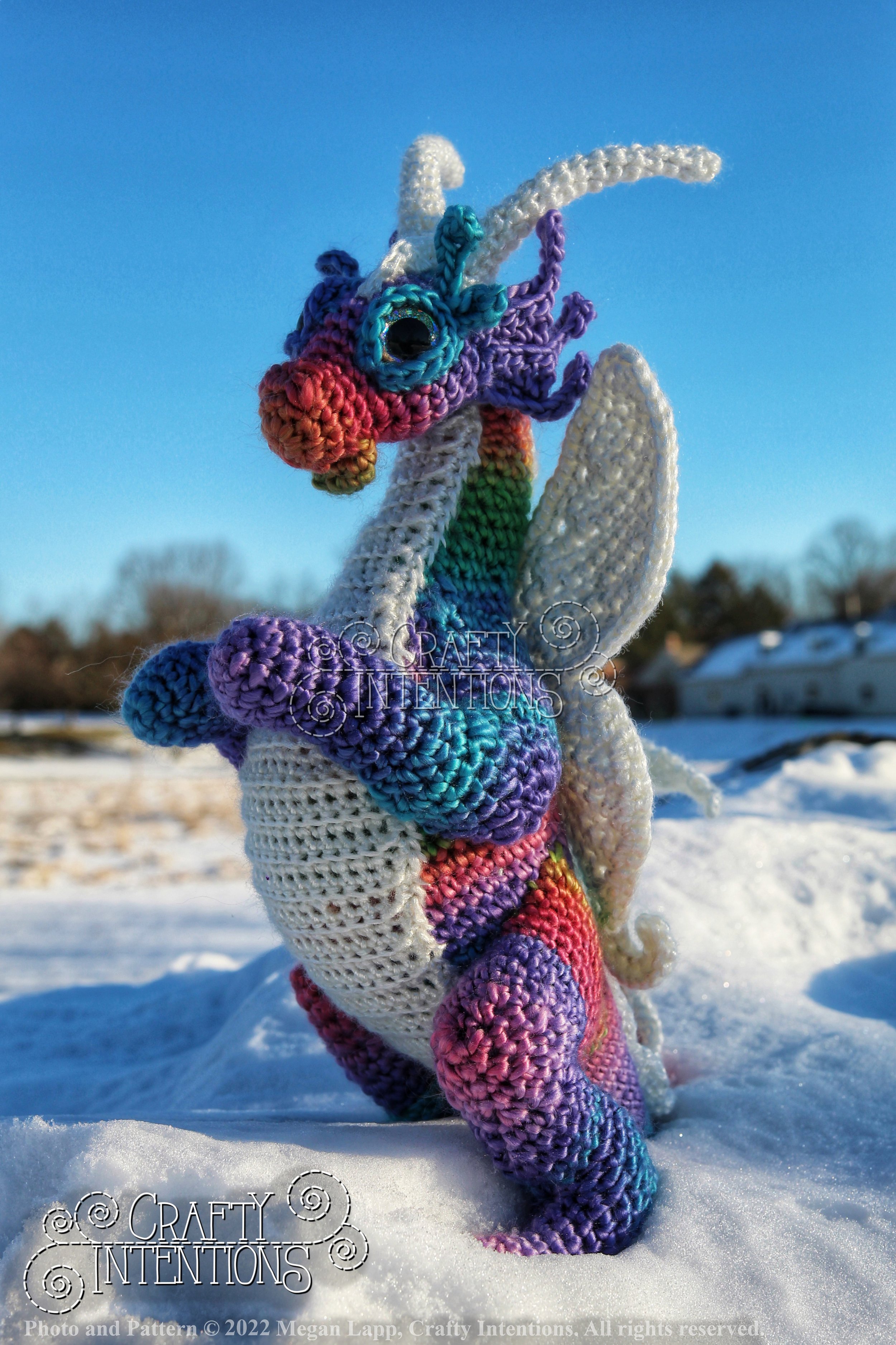 IMG_0925-01 with logo and copyright.jpg