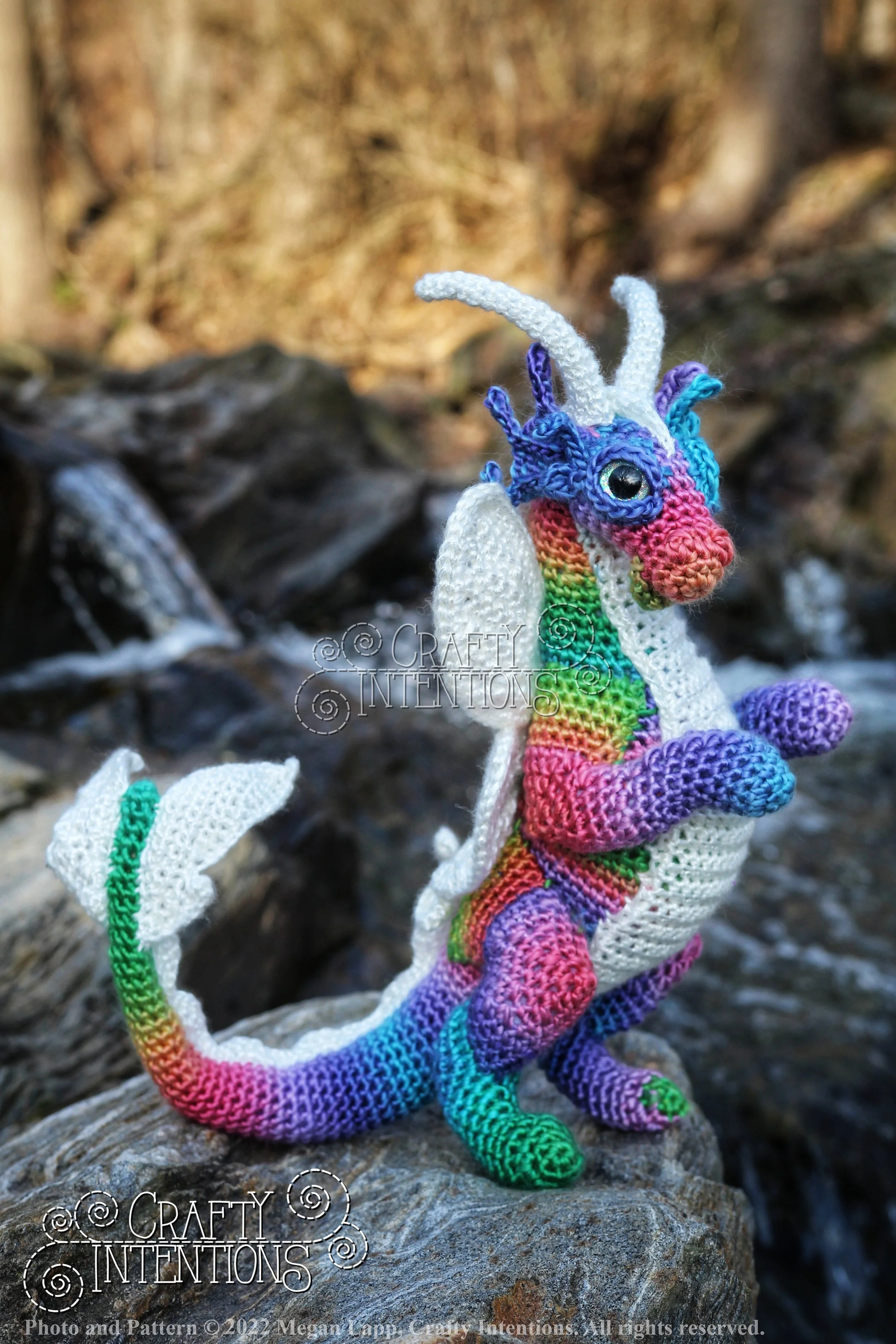 IMG_1754-01 with logo and copyright.jpg