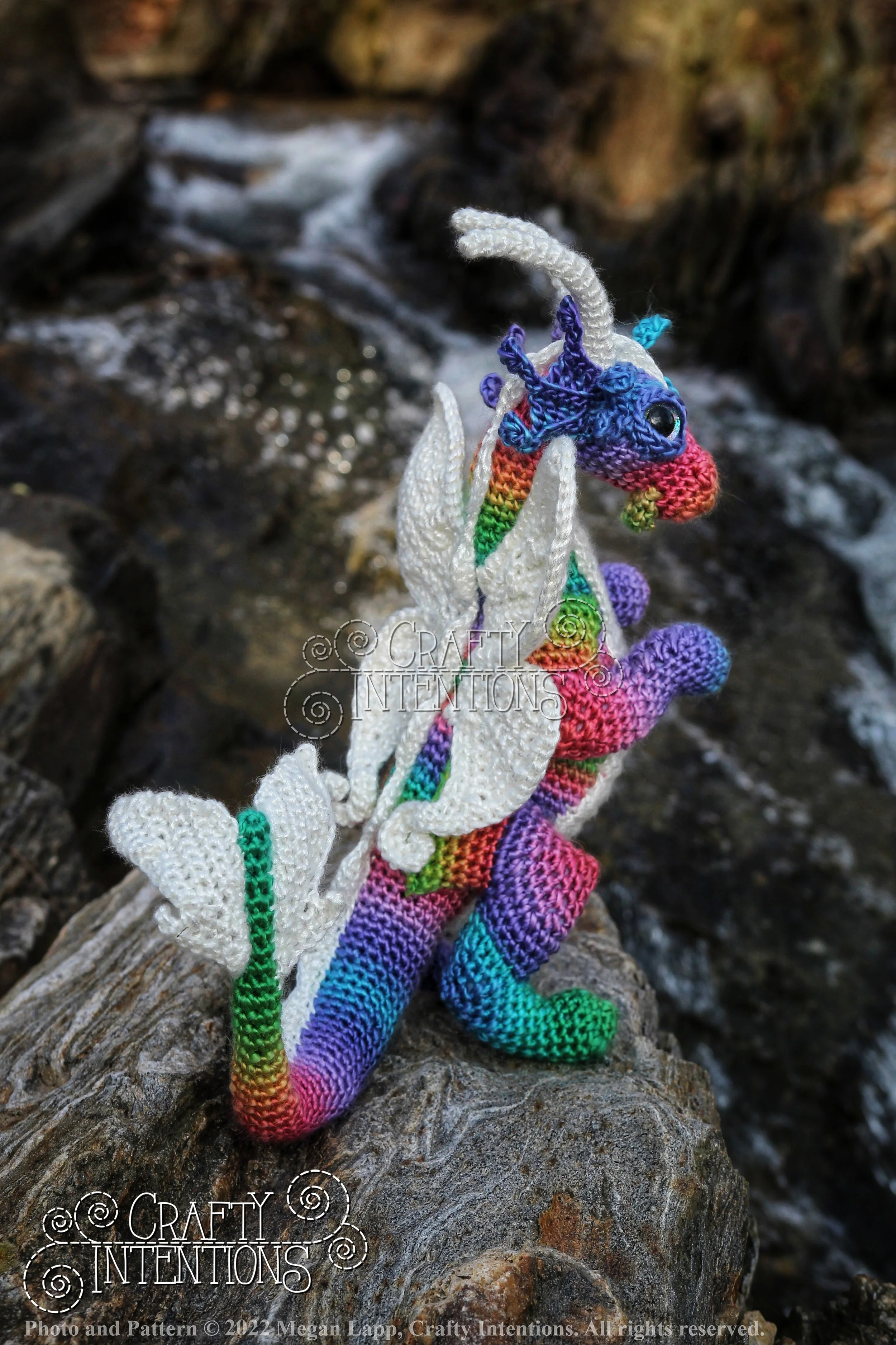 IMG_1773-01 with copyright and logo.jpg