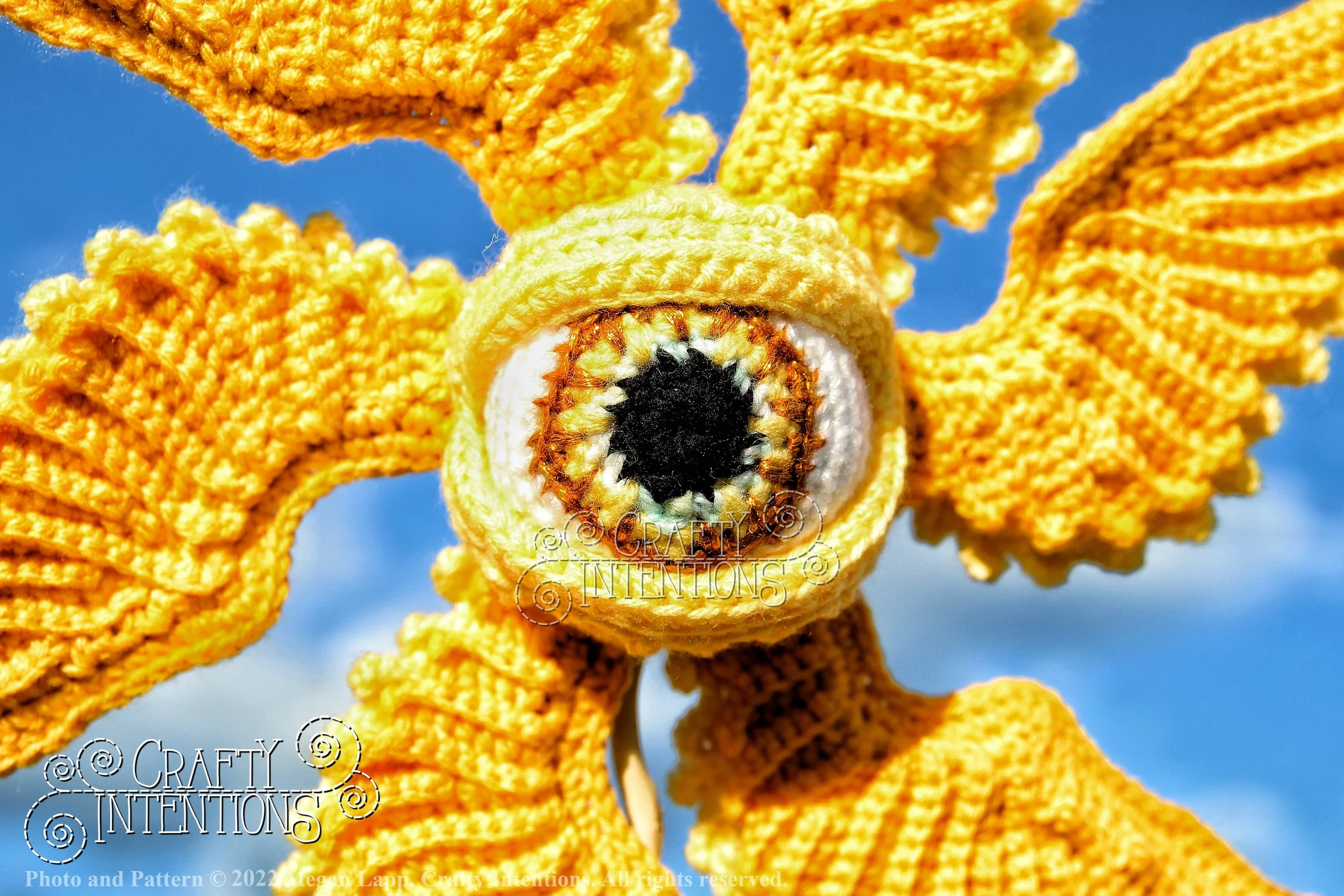 IMG_6870-01 with logo and copyright.jpg