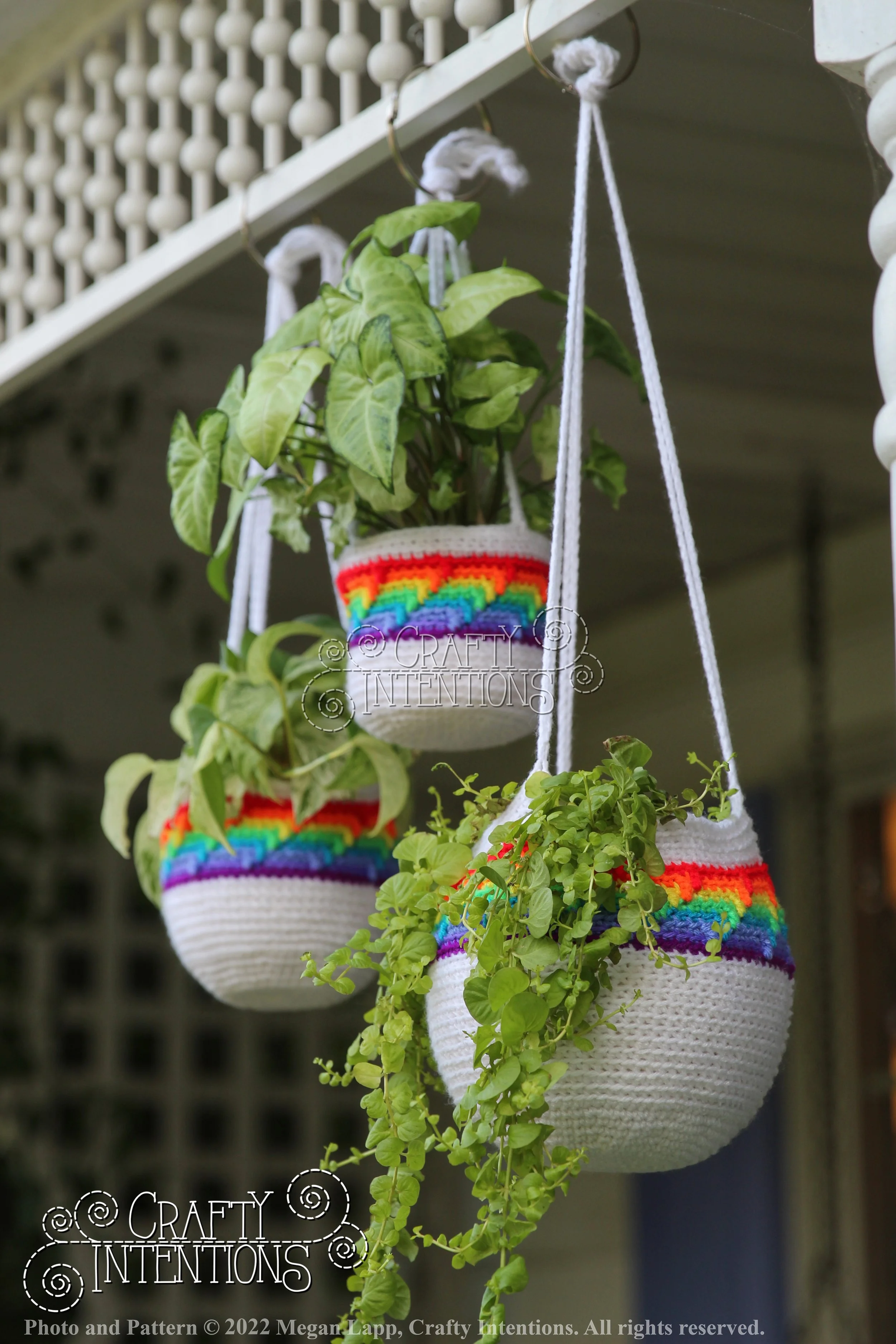 IMG_1838-01 with logo and copyright.jpg