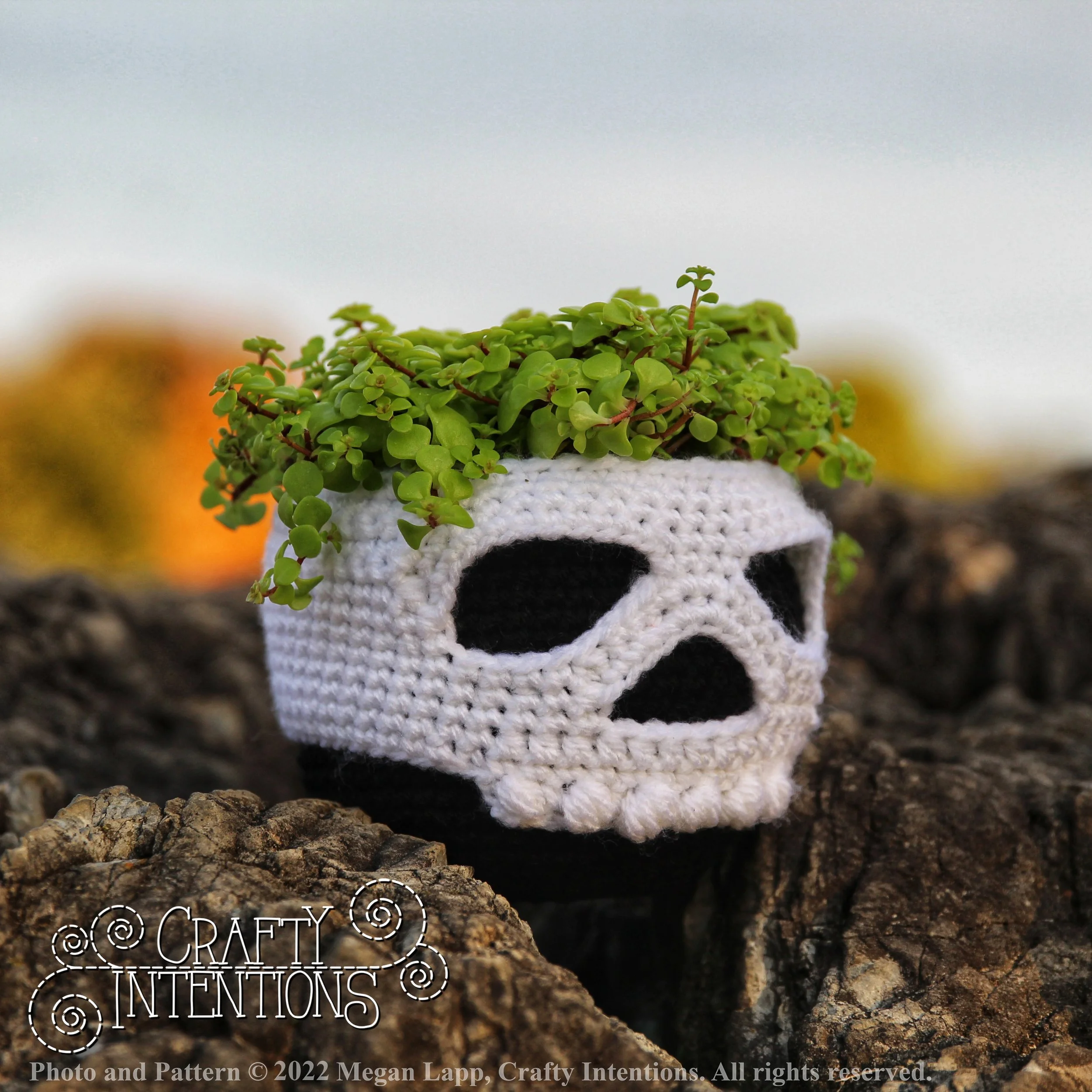 Halloween Hanging Baskets Skull Wall Planter,Skull Shaped Hanging Resin ...