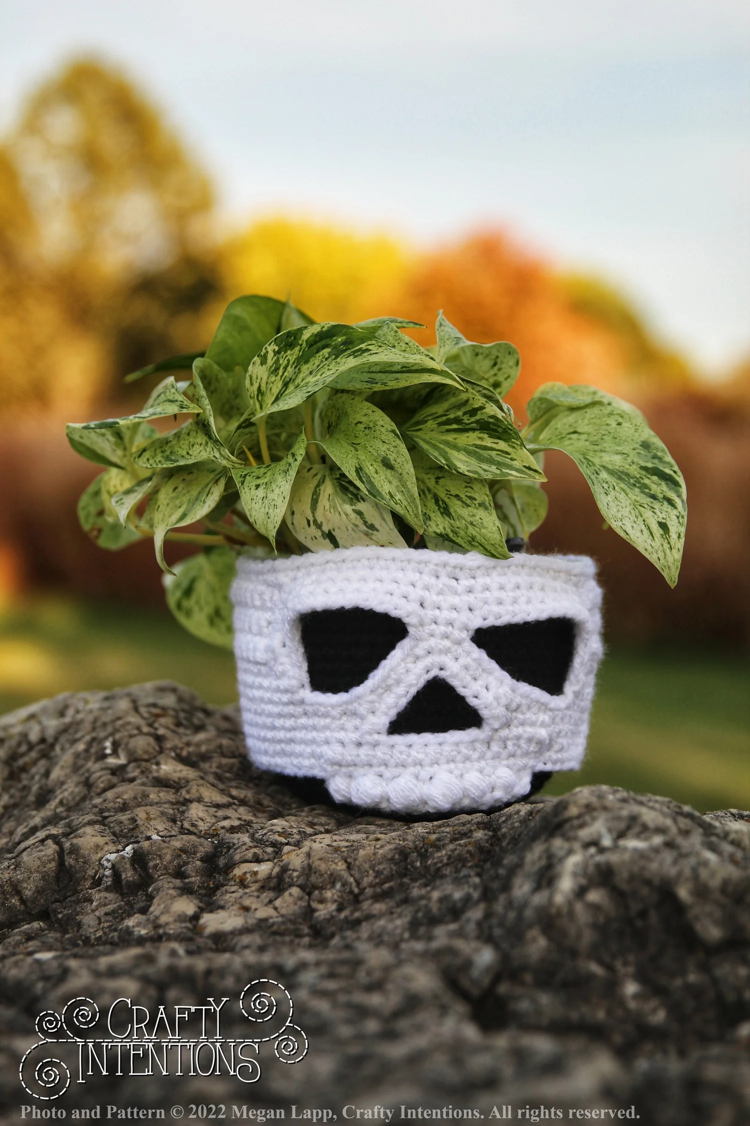 Hanging Skull Planter Cozy  Crafty Intentions