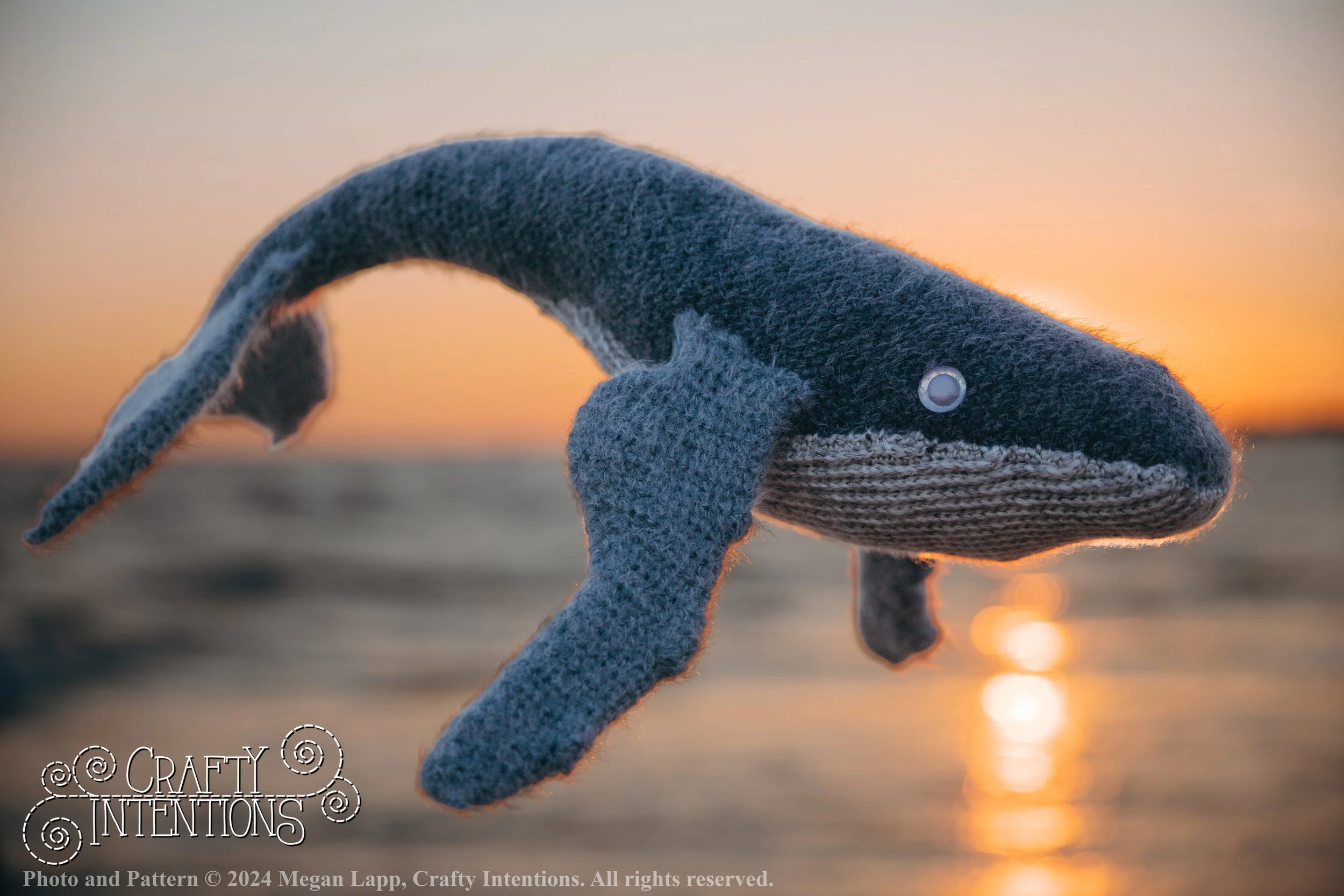 IMG_3111-Edit-Edited_ with logo and copyright.jpg