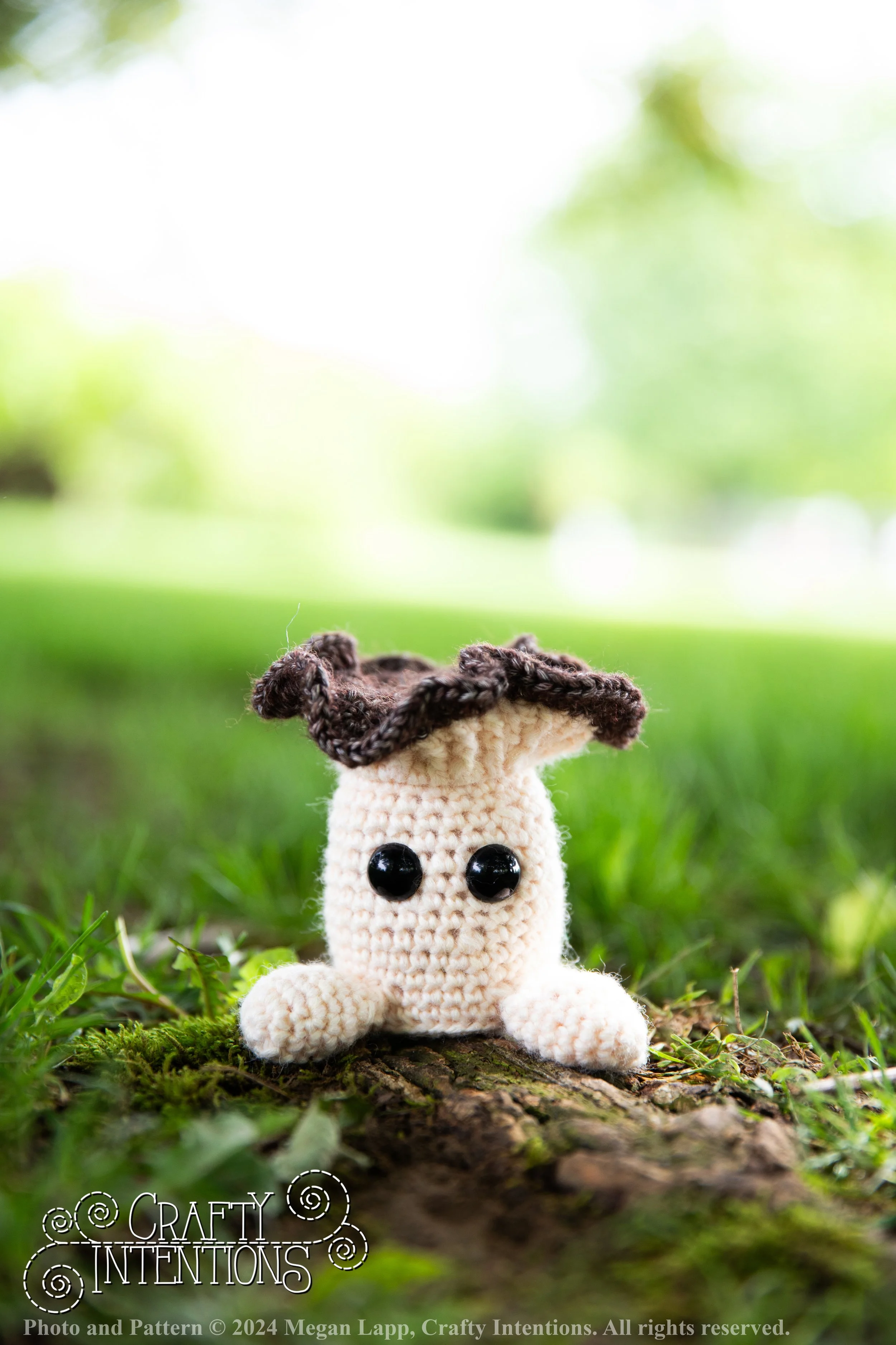 IMG_1609-edited with logo and copyright.jpg