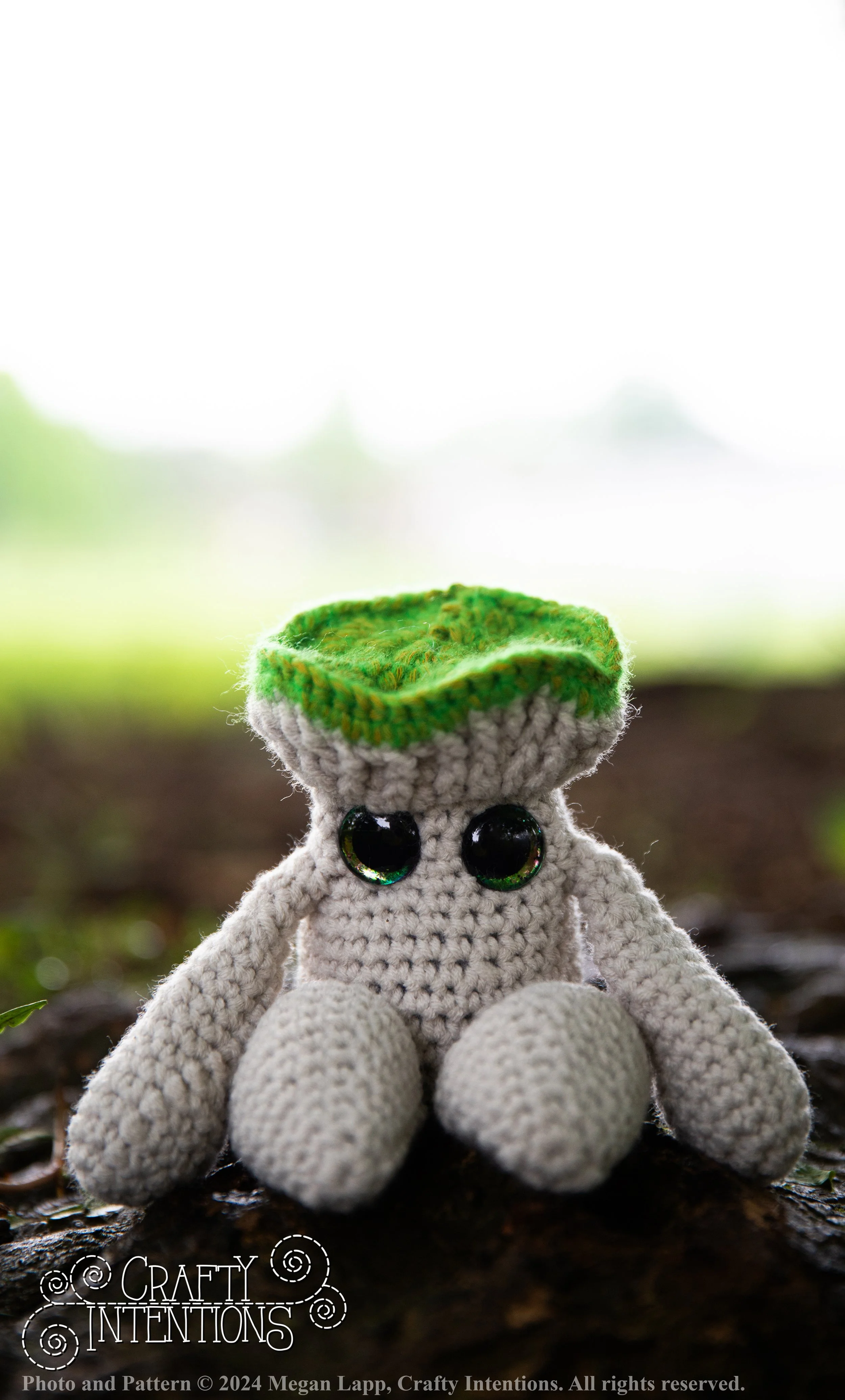IMG_1419-edited with logo and copyright.jpg