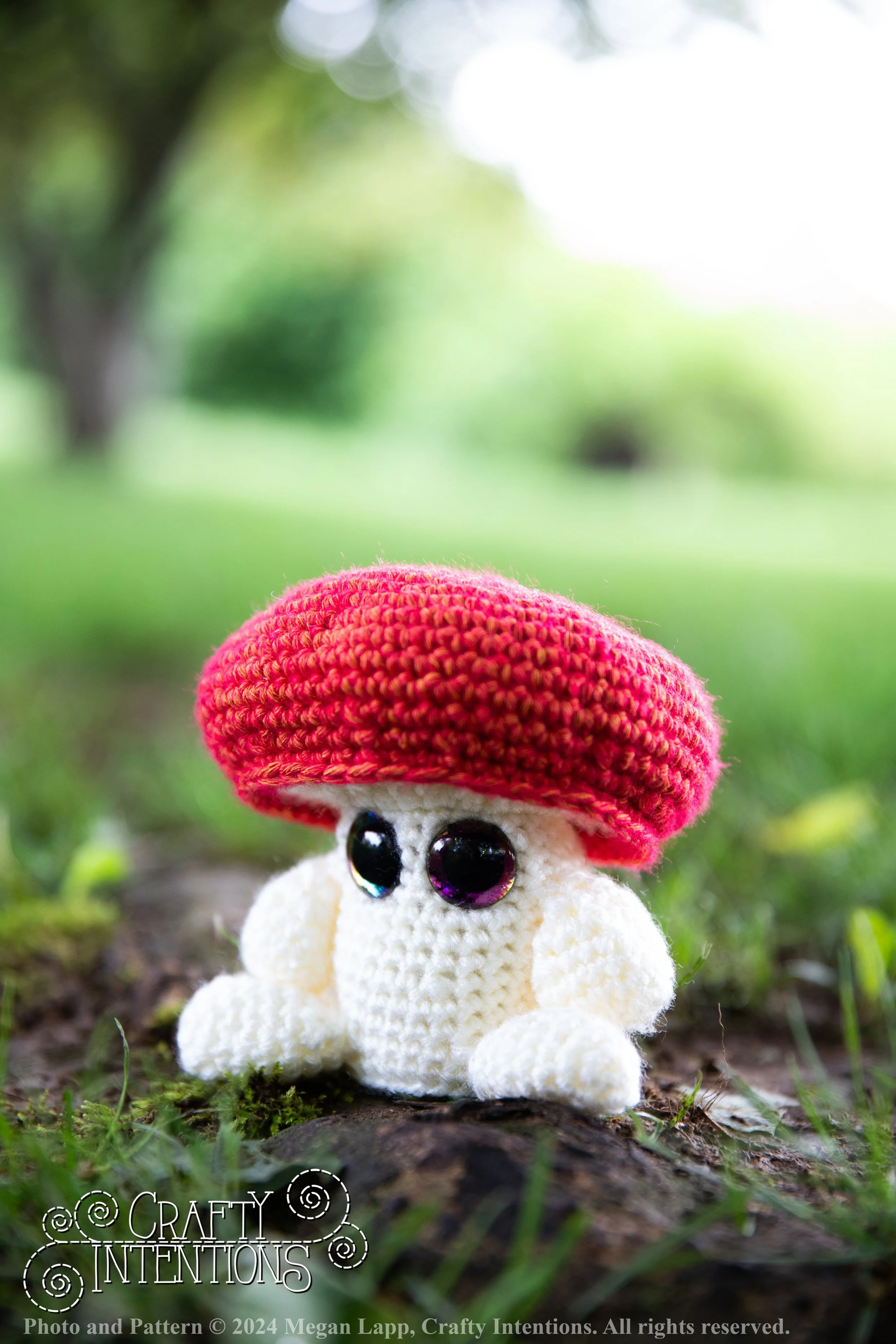 IMG_1441-edited with logo and copyright.jpg