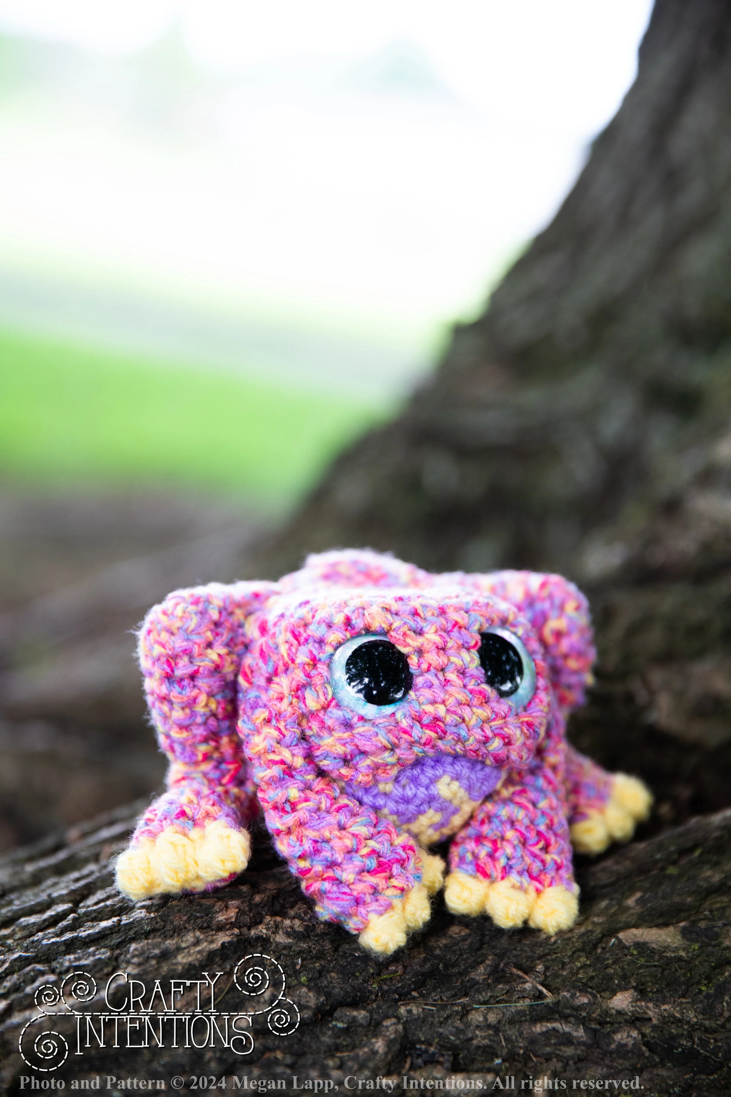 IMG_2055-edited with logoa nd copyright.jpg