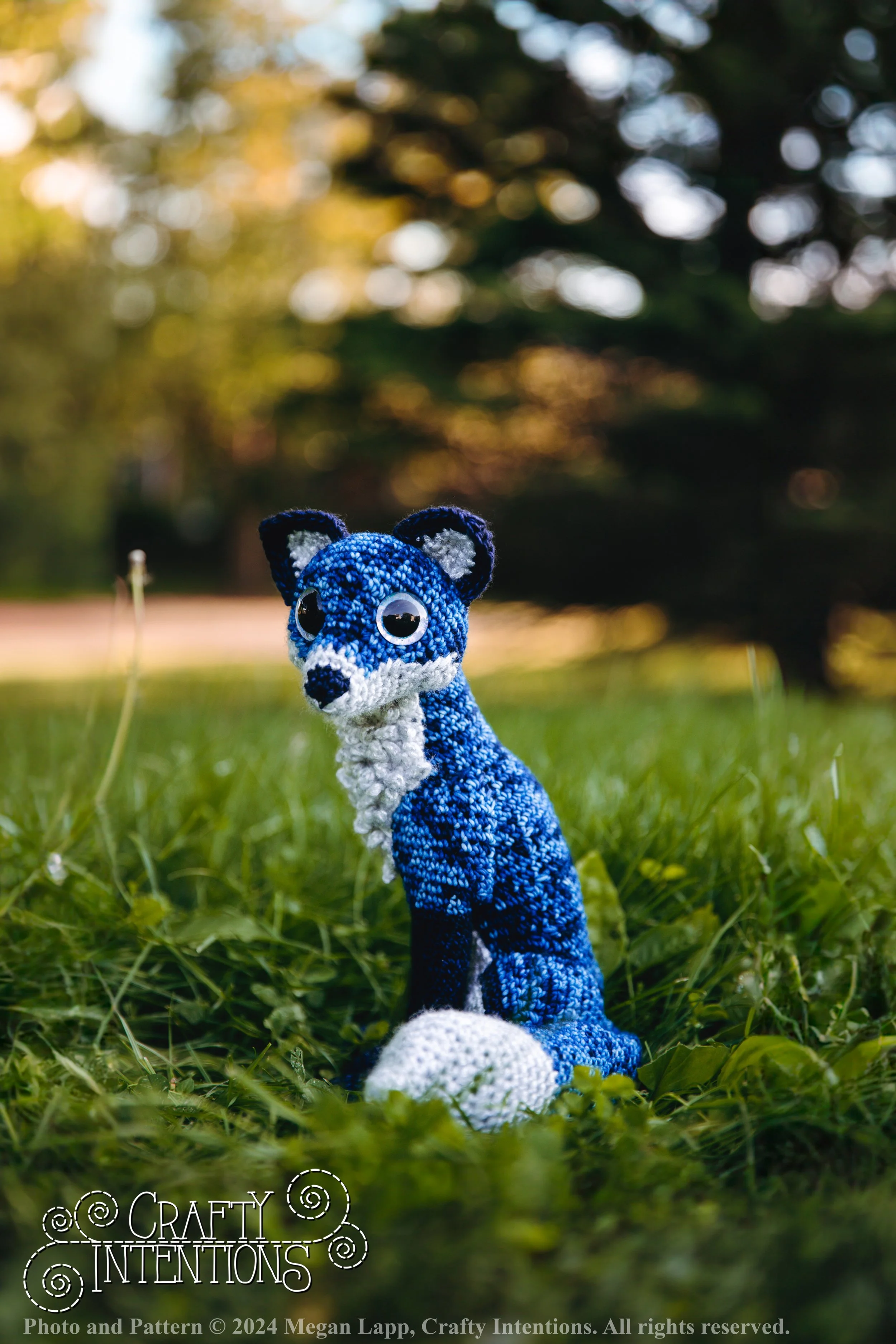 IMG_8821-Edit-Edited Fox with logo and copyright.jpg