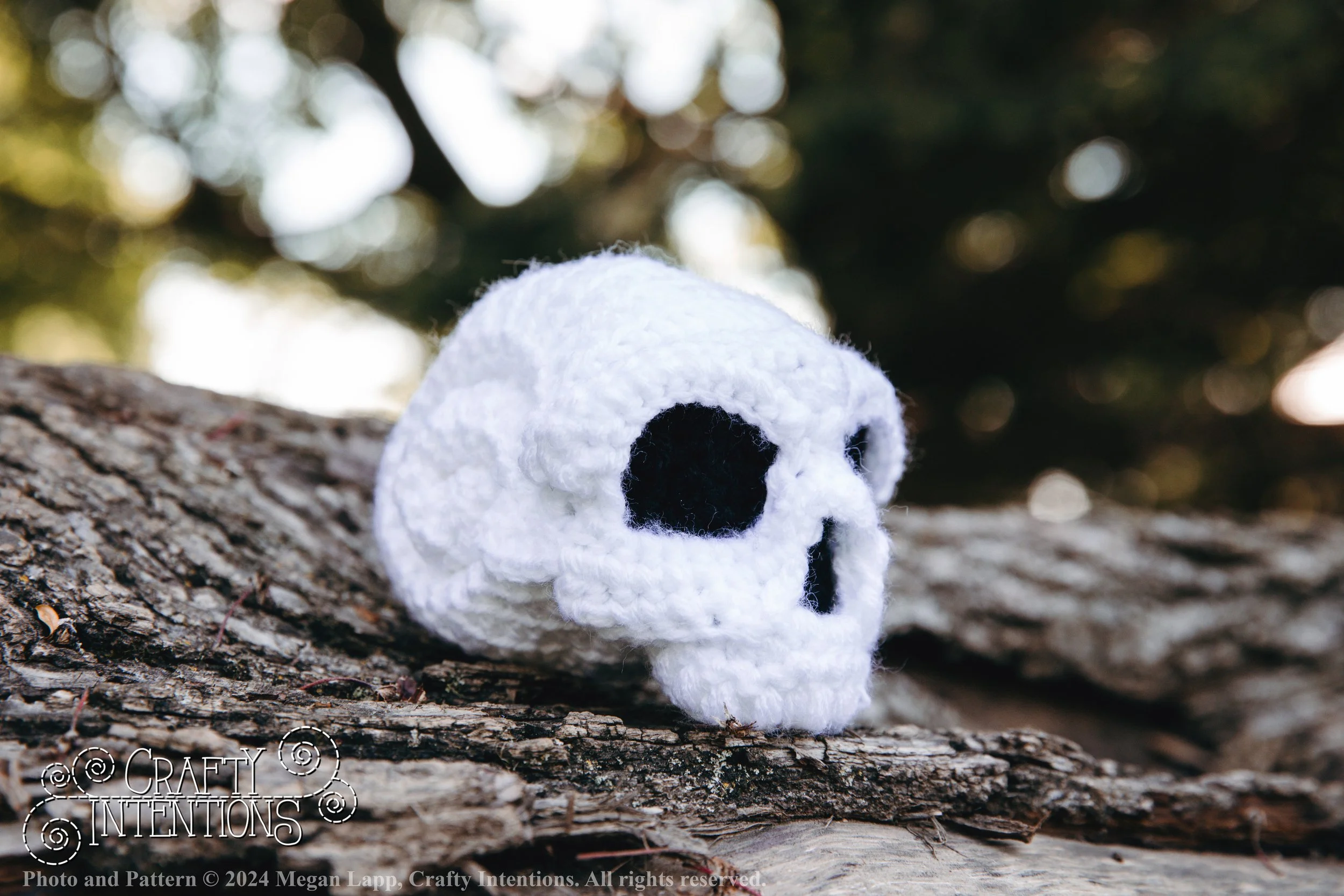 IMG_1769-Edited Skull Snails with logo and copyright.jpg