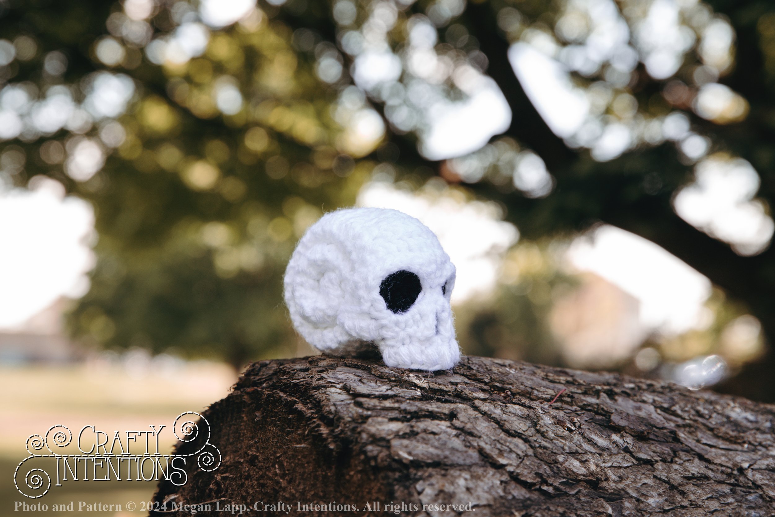IMG_1776-Edited Skull Snails with logo and copyright.jpg