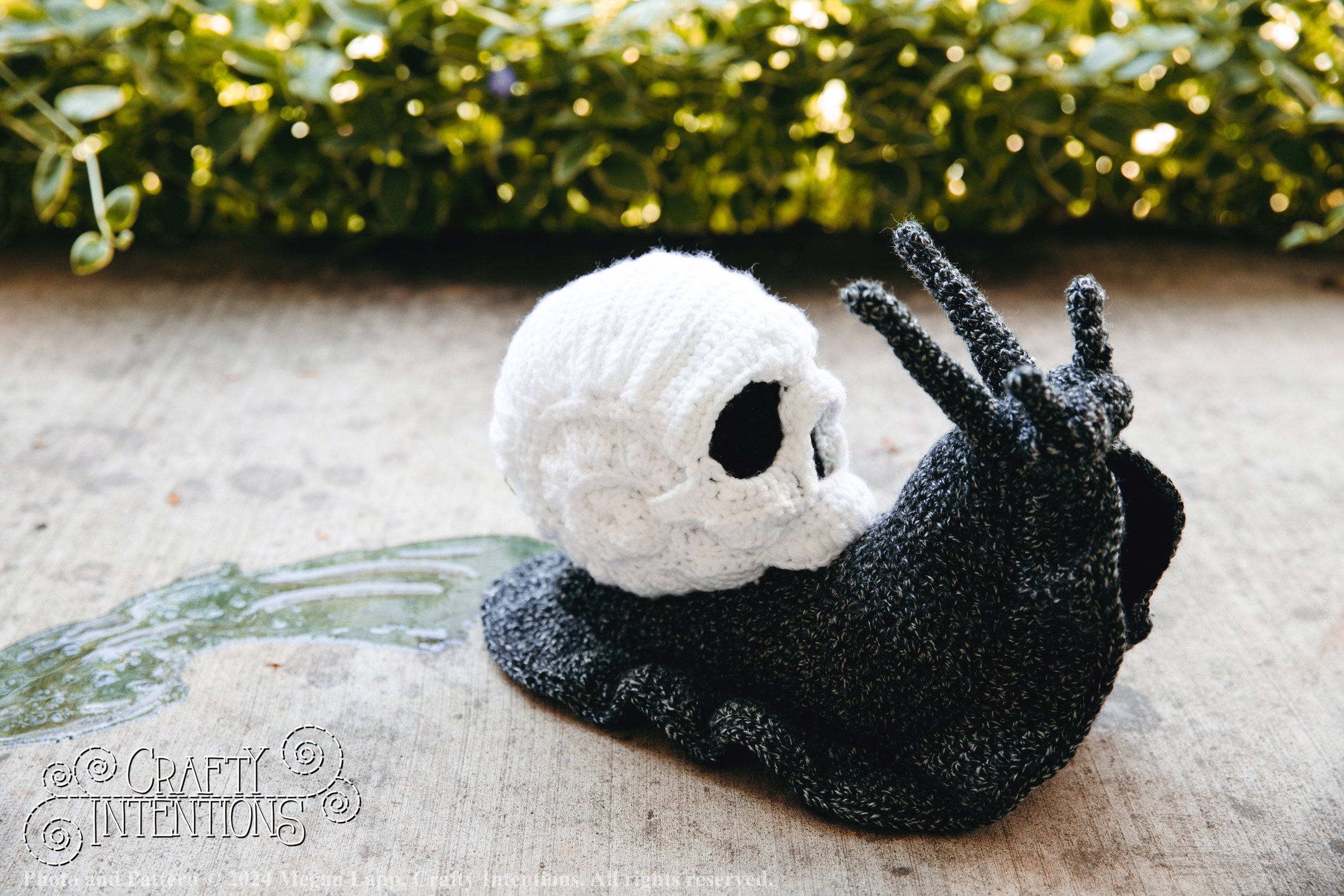 IMG_1866-Edited Skull Snails2 with logo and copyright.jpg