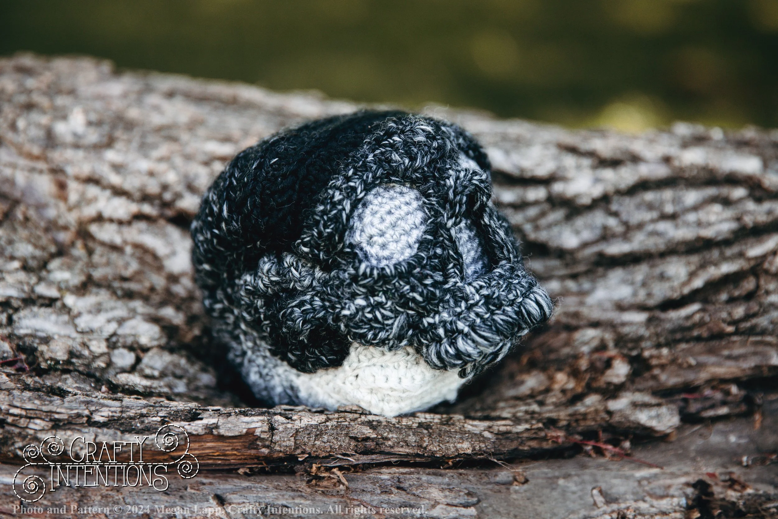 IMG_1880-Edited Skull Snails2 with logo and copyright.jpg