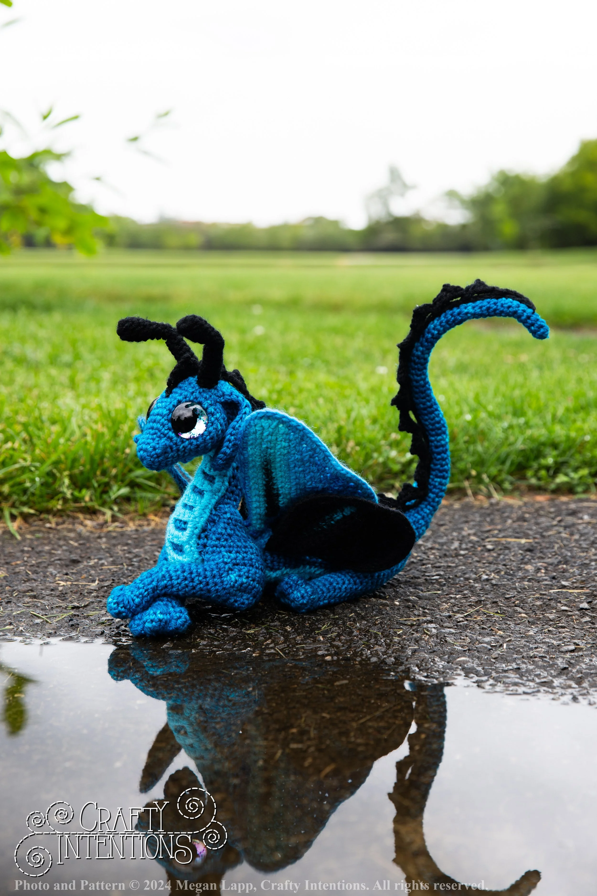 IMG_0321-Edited Meadow D with logo and copyright.jpg