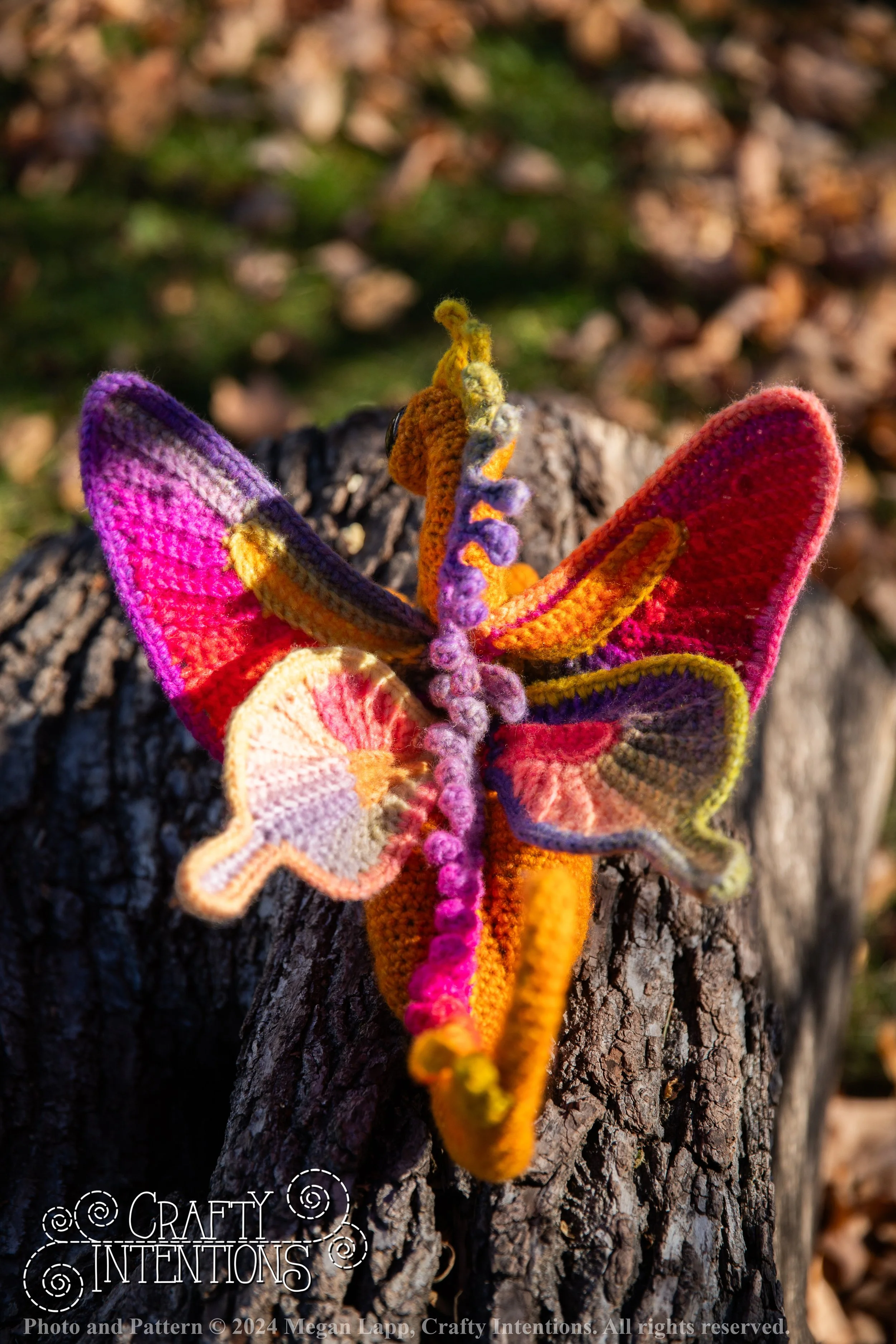 IMG_6565Edited Meadow dragon with logo and copyright.jpg