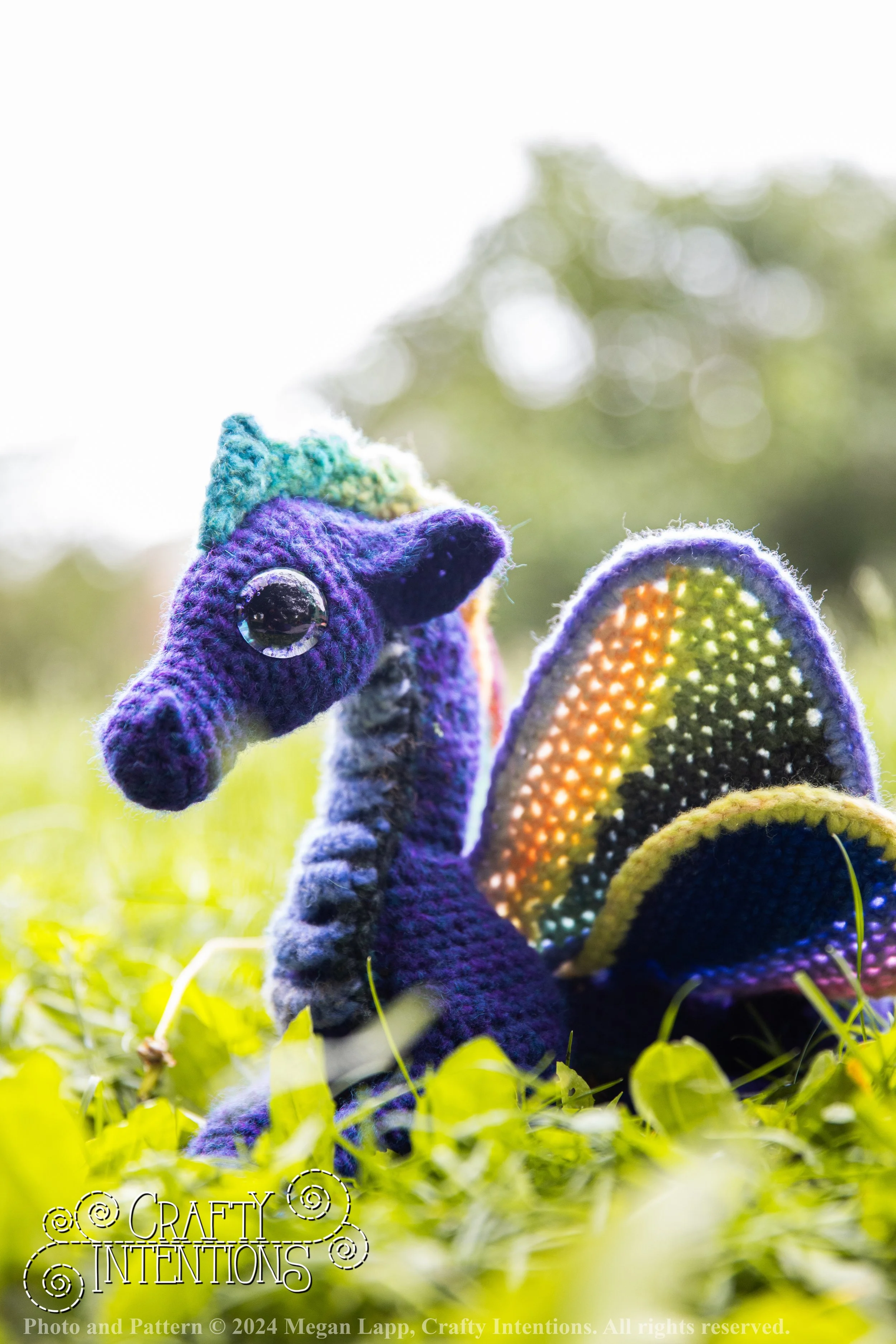 IMG_0258-Edited Meadow D with logo and copyright.jpg