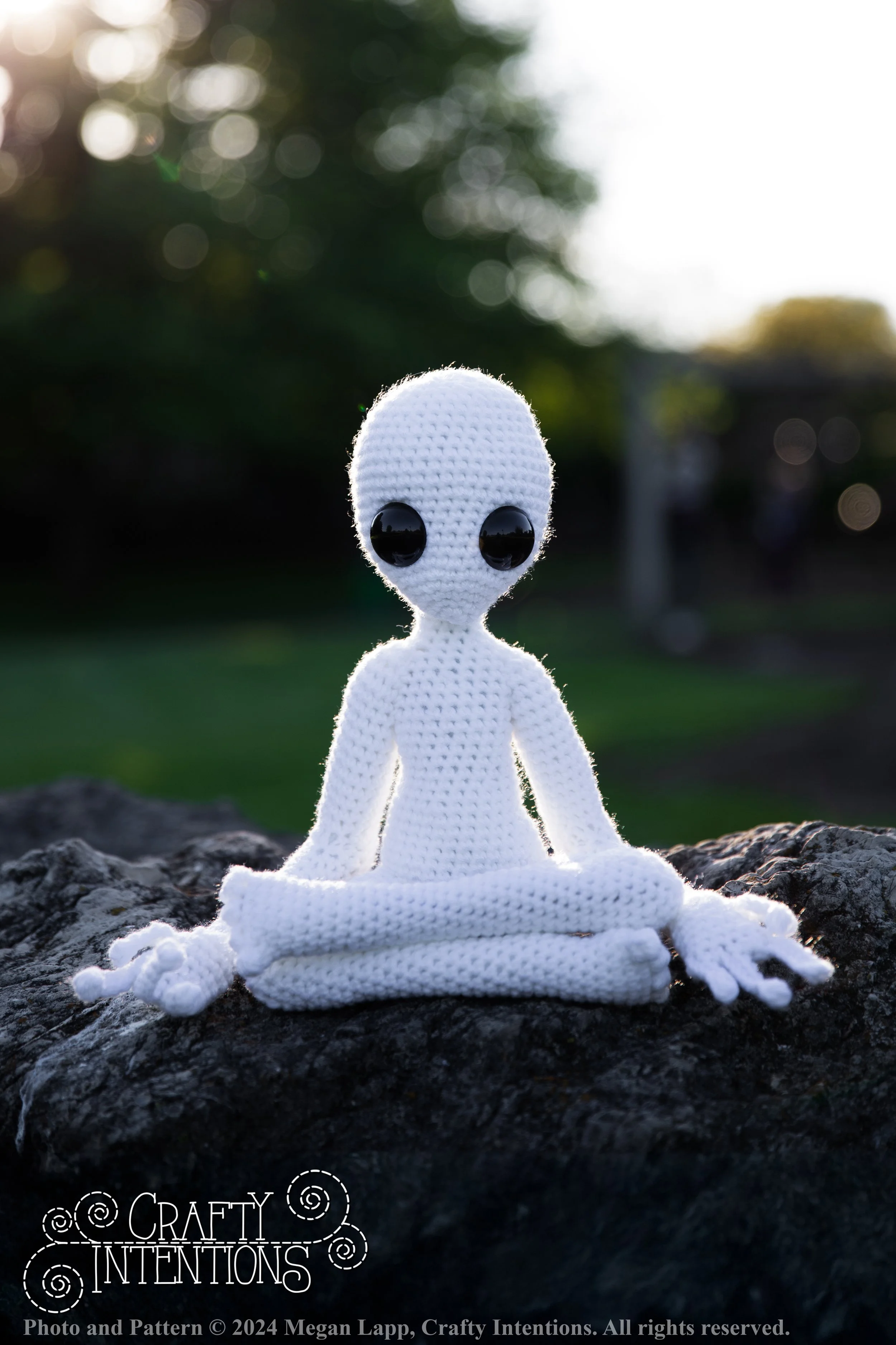 IMG_8966Edited Medium Aliens edited with logo and copyright.jpg