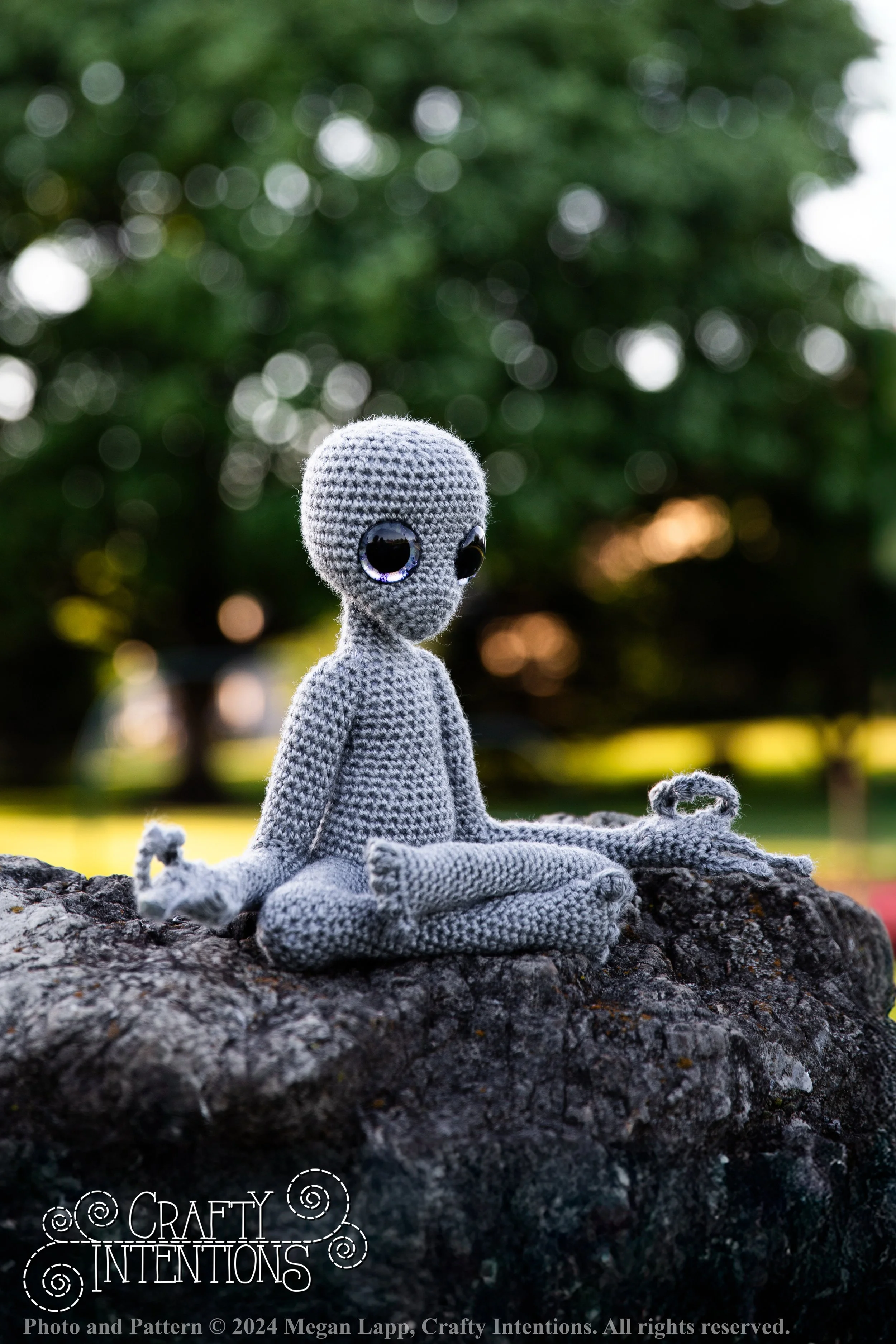 IMG_8999Edited Medium Aliens edited with logo and copyright.jpg