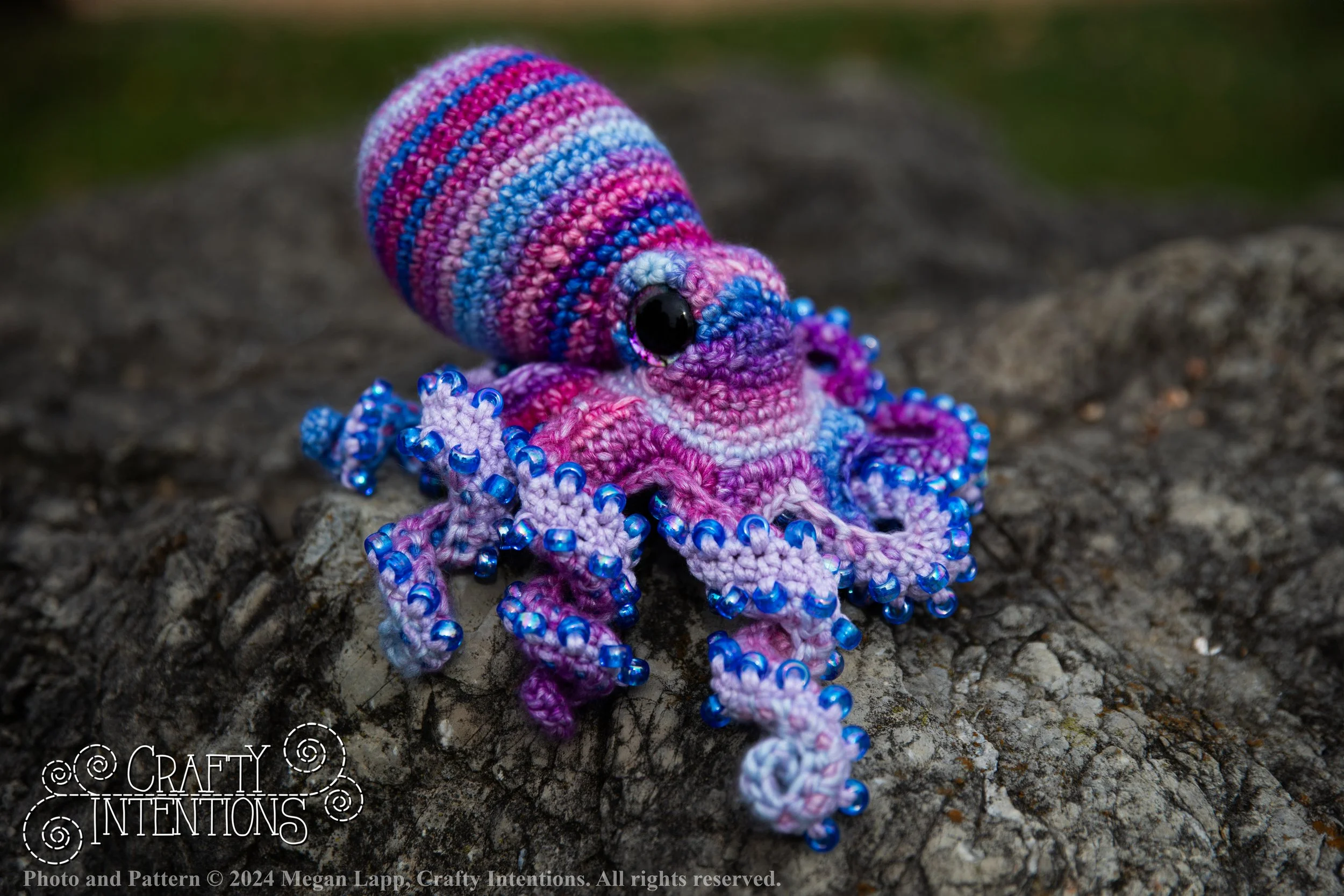 IMG_0158edited octopus 1 edited with logo and copyright.jpg