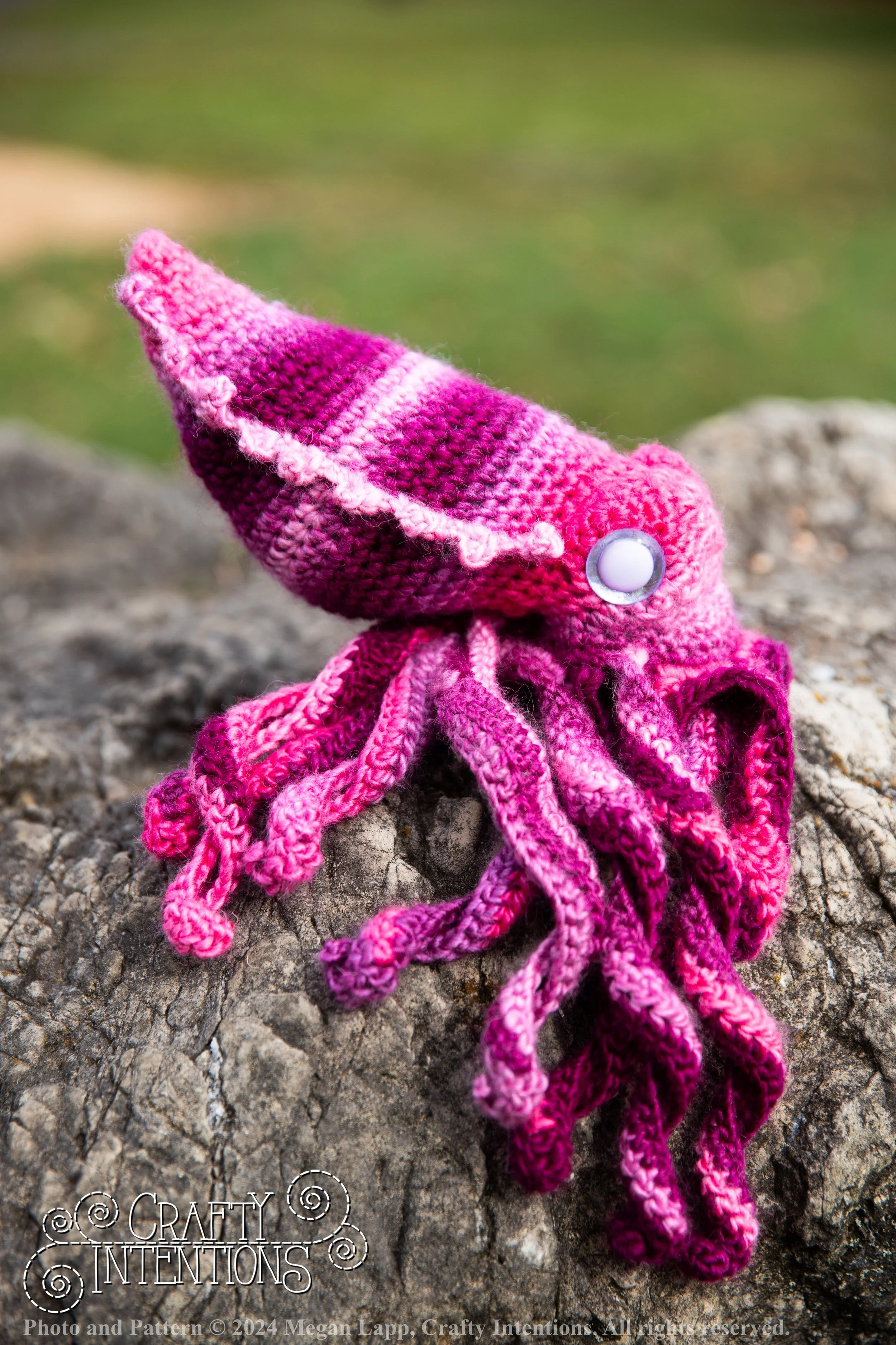 IMG_0350edited octopus 3 with logo and copyright.jpg