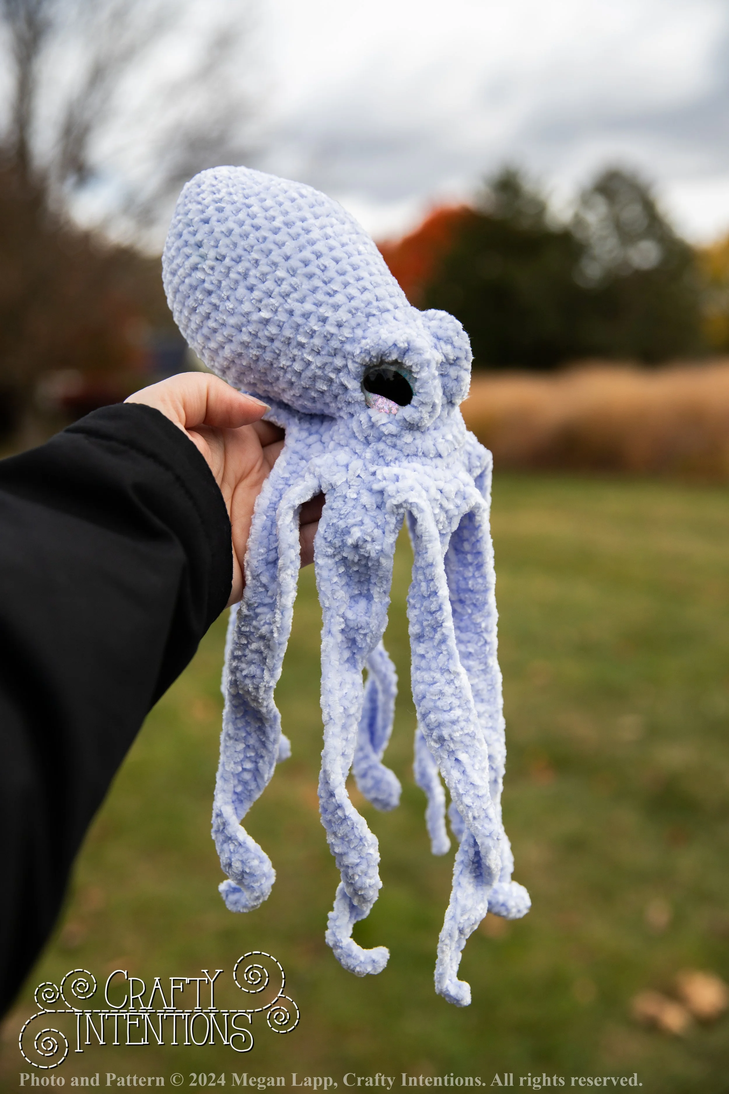 IMG_0427edited octopus 4 with logo and copyright.jpg