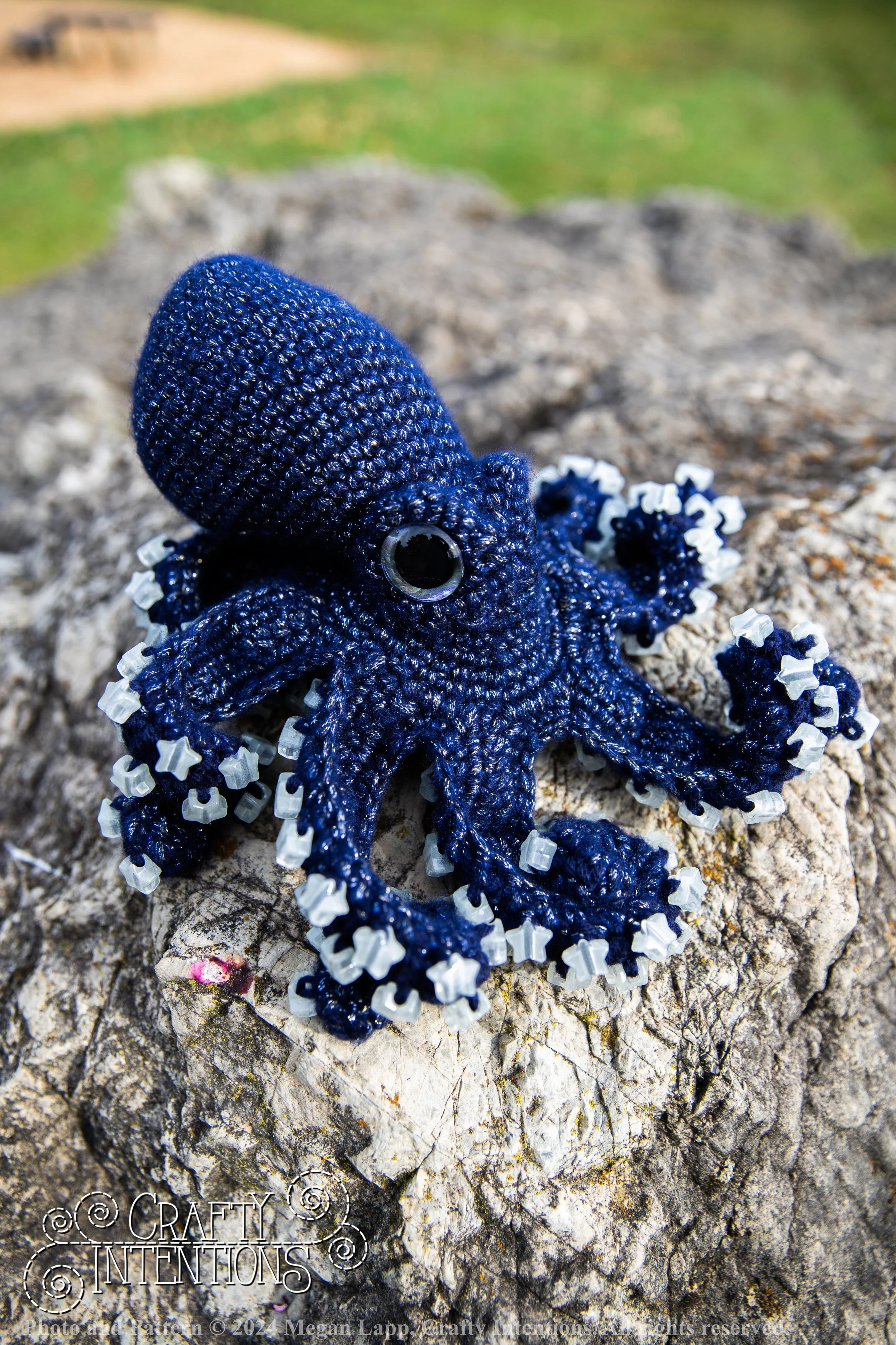 IMG_8861edited octopus 5 wlac.jpg