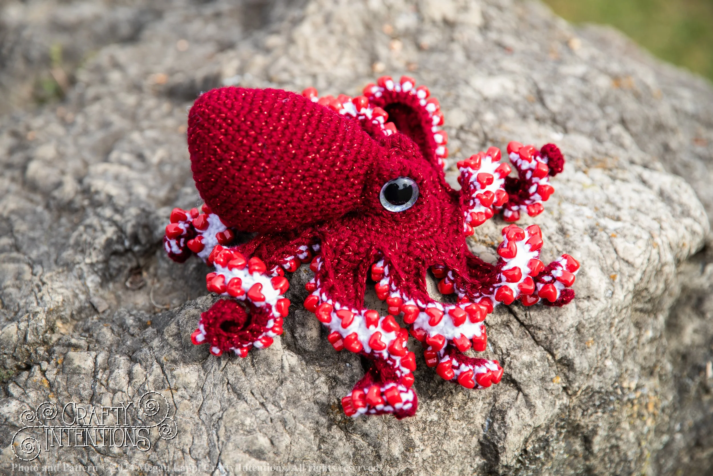 IMG_9658Edited Octopus 8 with logo and copyright.jpg