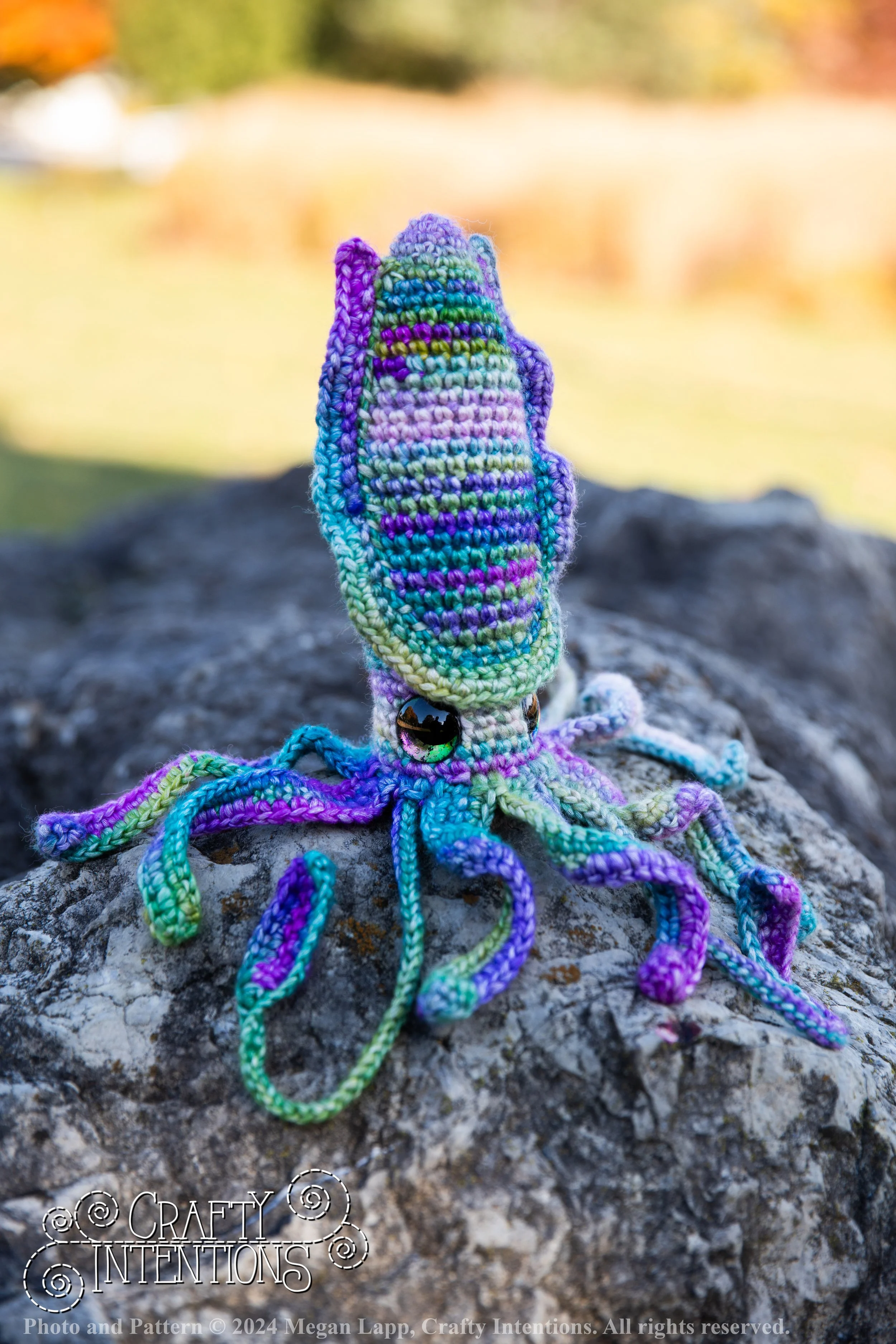 IMG_1080edited squids with logo and copyright.jpg