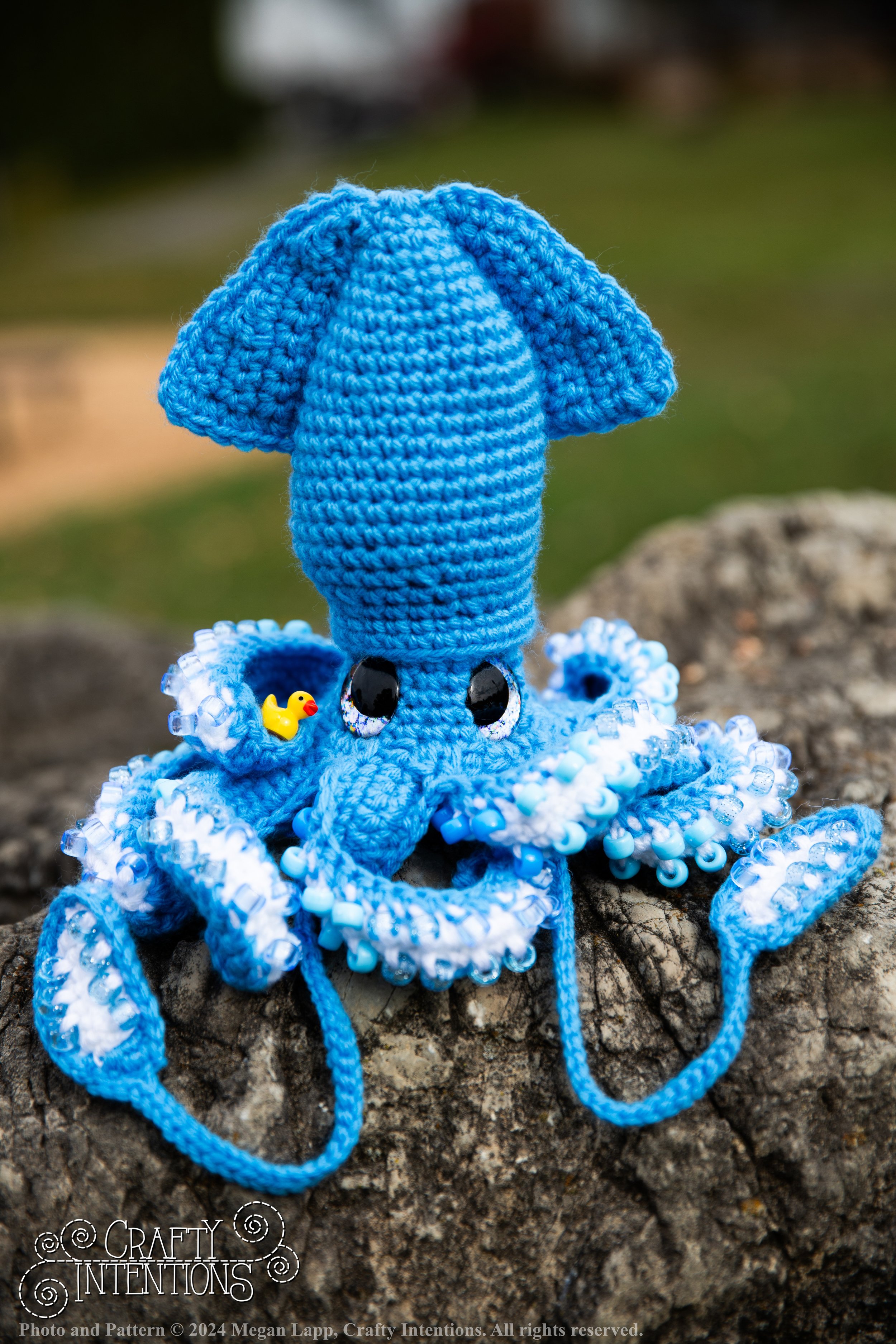 IMG_9760edited squids with logo and copyright.jpg