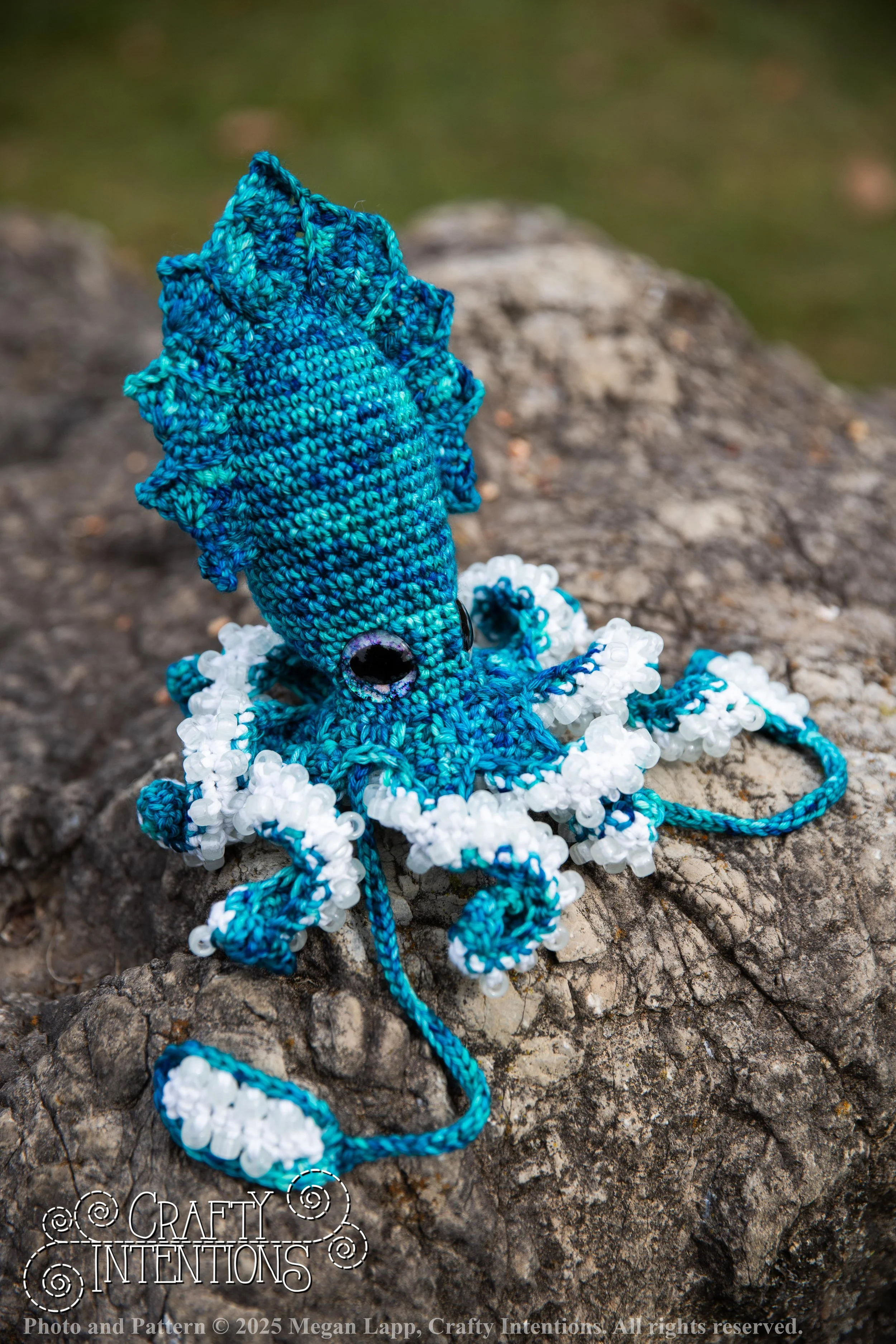 IMG_0141kraken set 1 wlac.jpg
