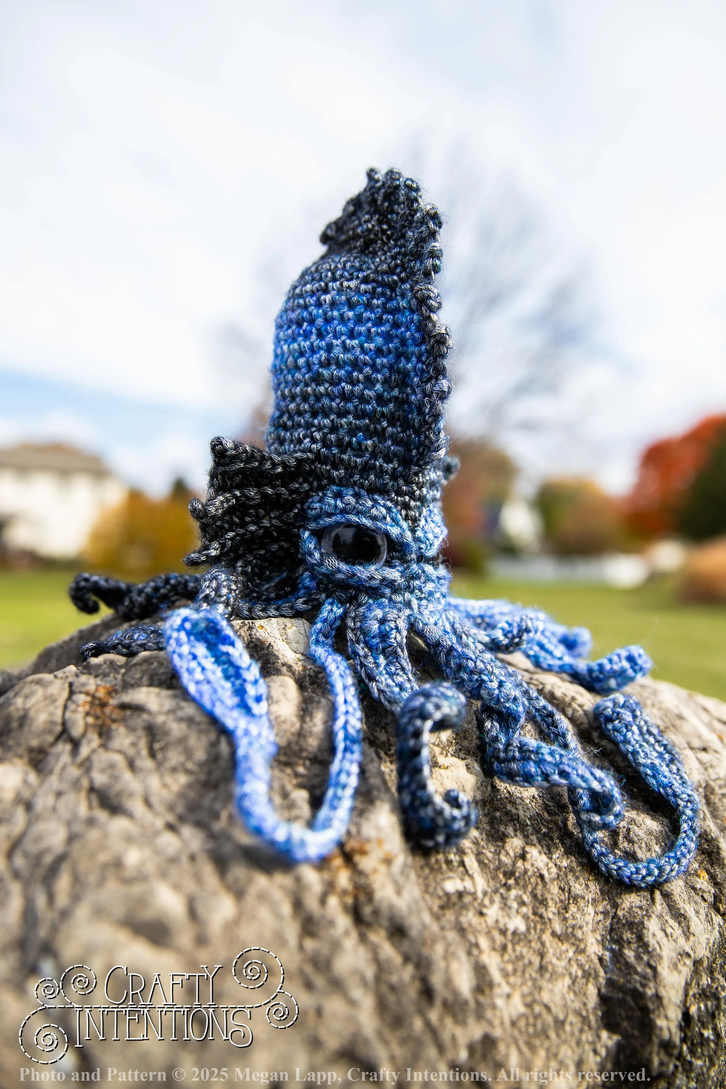 IMG_9079kraken set 1 wlac.jpg