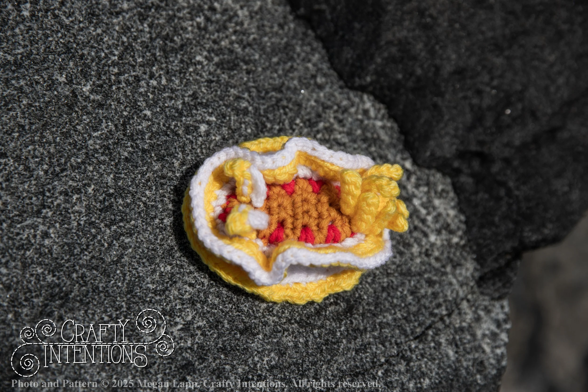 71.005 Teensy Tiny Nudibranch s3 IMG_7536Book 5  re edit wlac.jpg