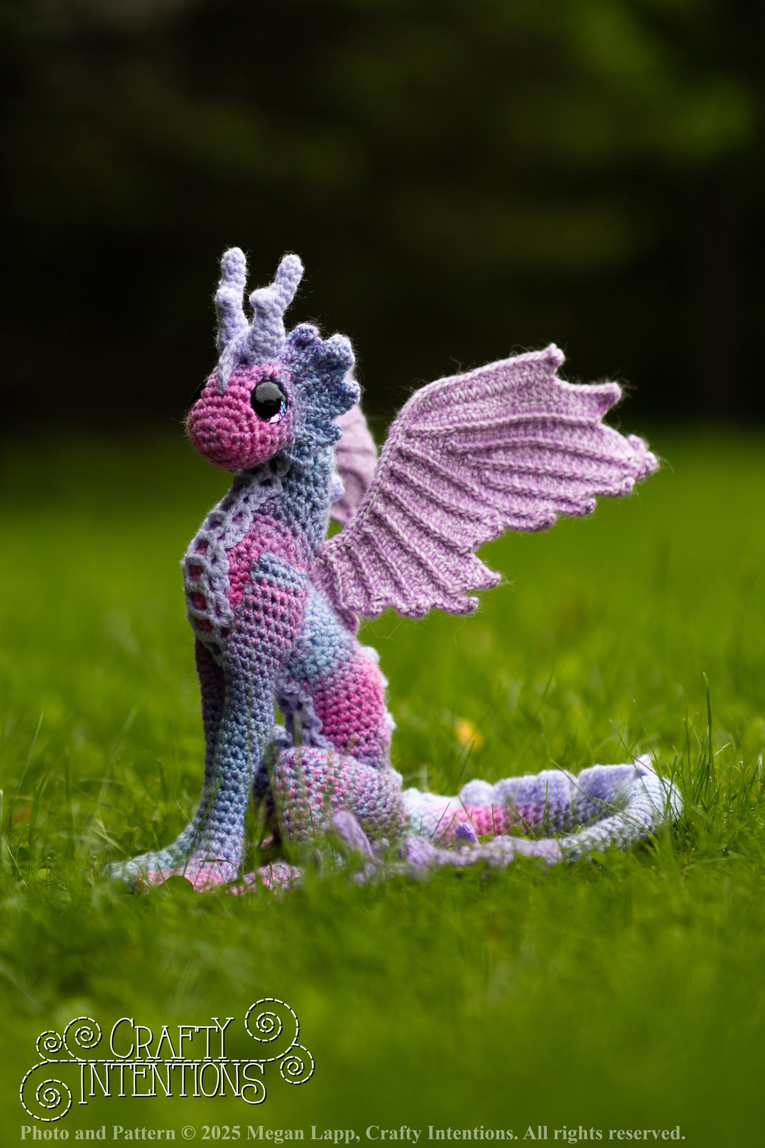 FK5A3729Edited2 wlac.jpg