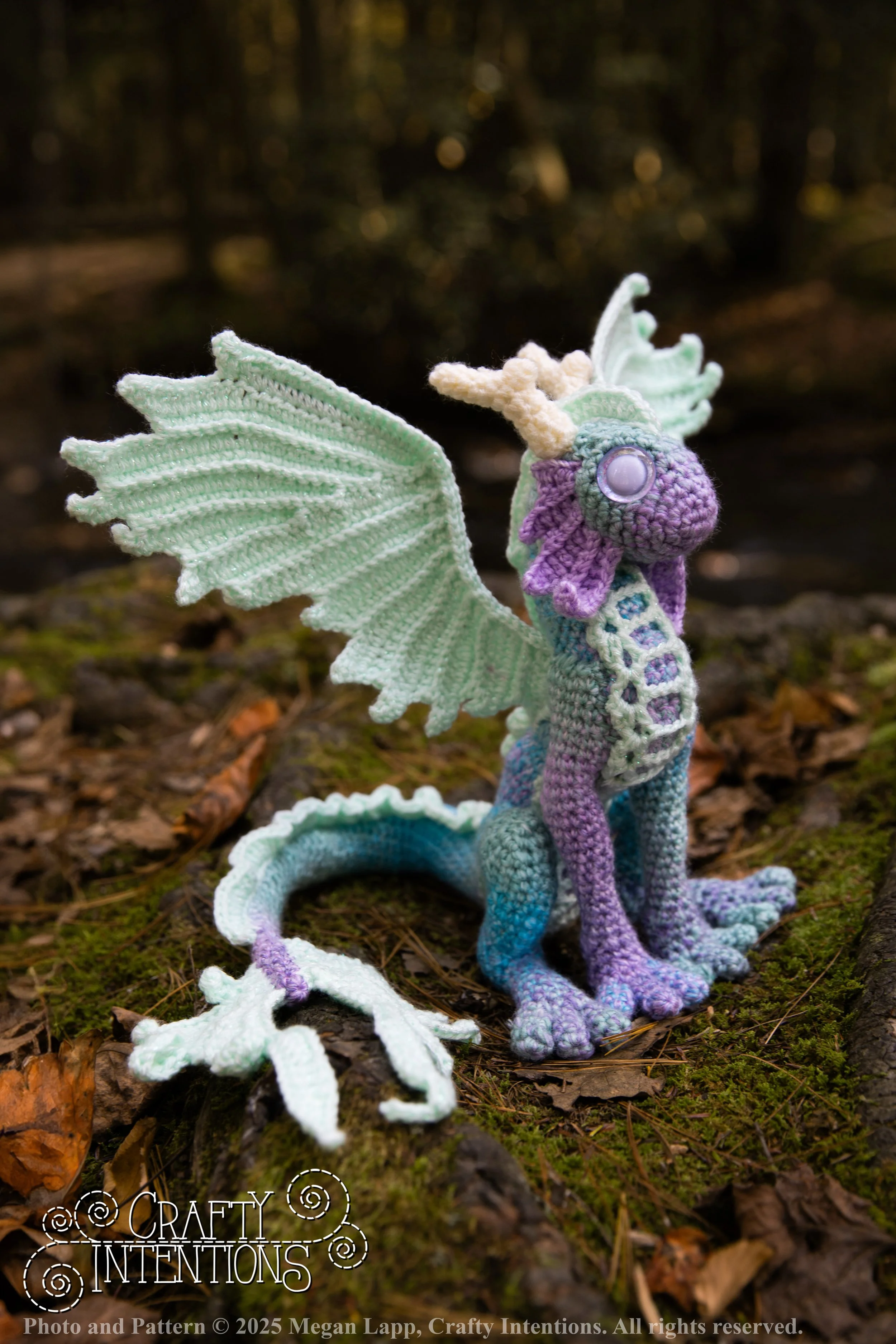 IMG_8231Edited2 wlac.jpg