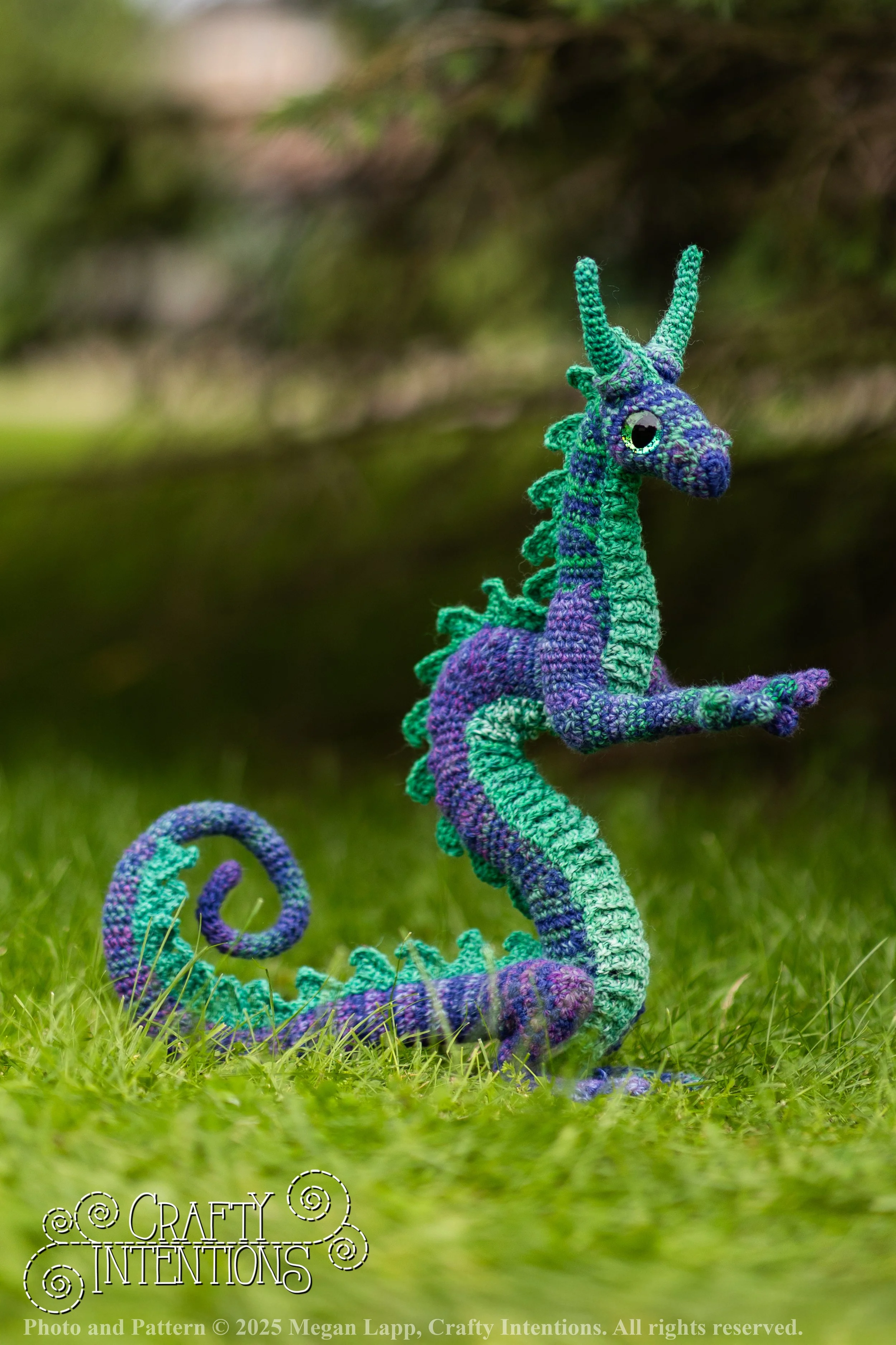 FK5A4296editedperchingdragon wlac2.jpg