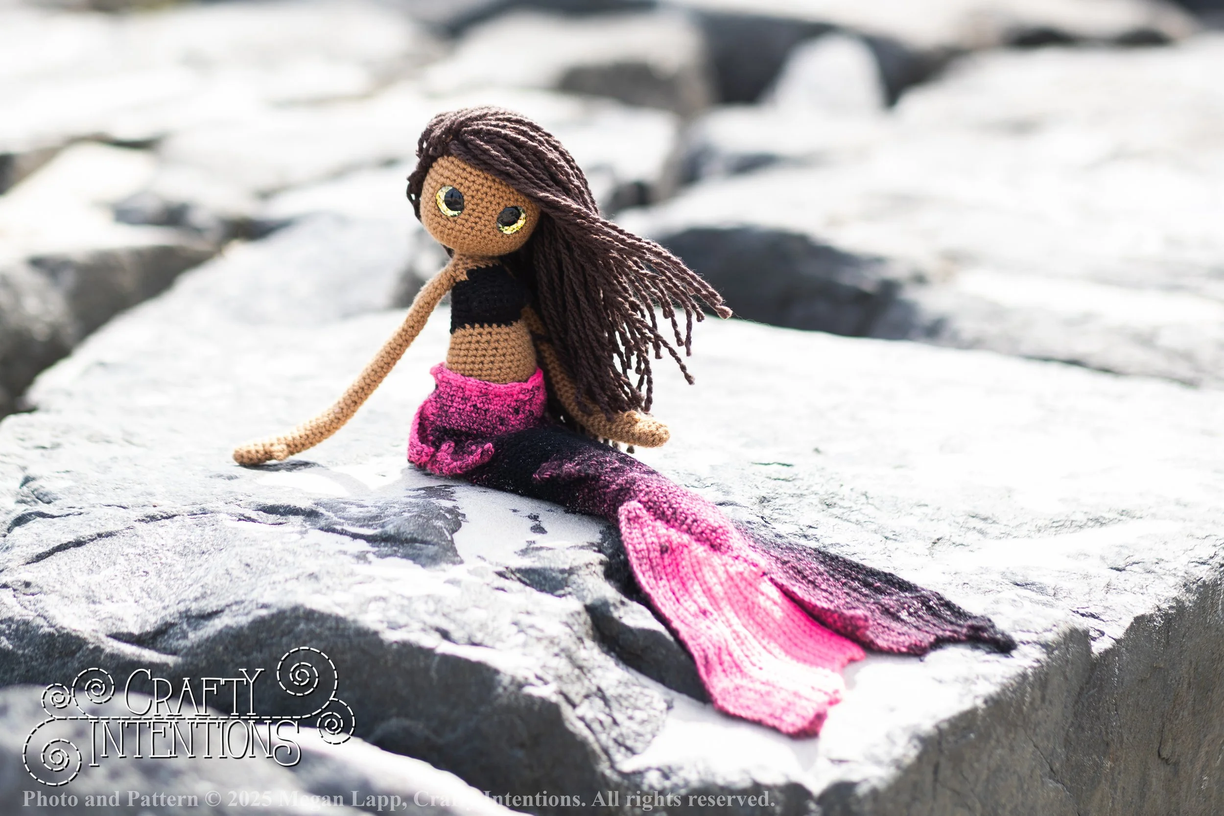 FK5A3309slip on tail_1 wlac.jpg