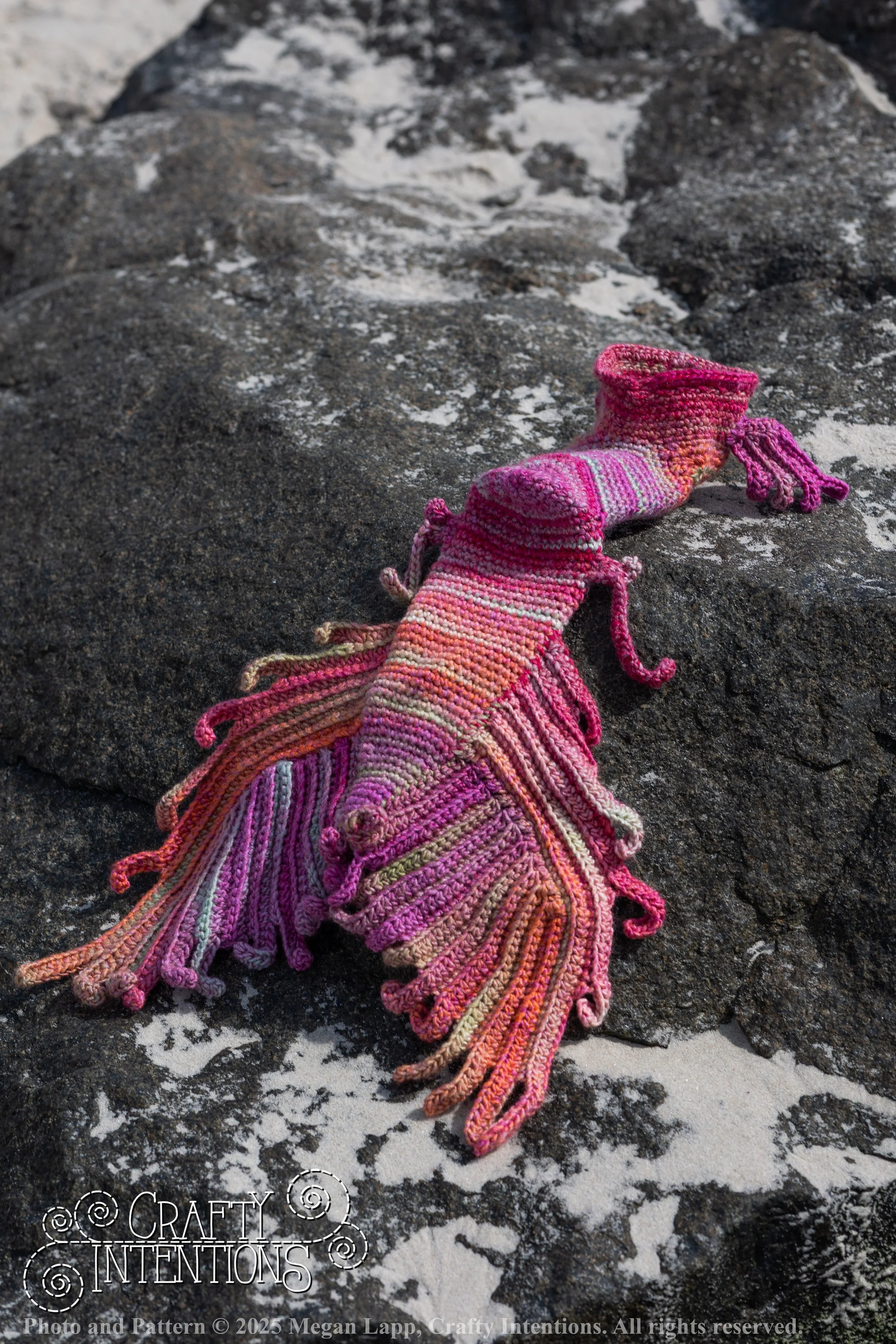 FK5A3580slip on tail_1 wlac.jpg