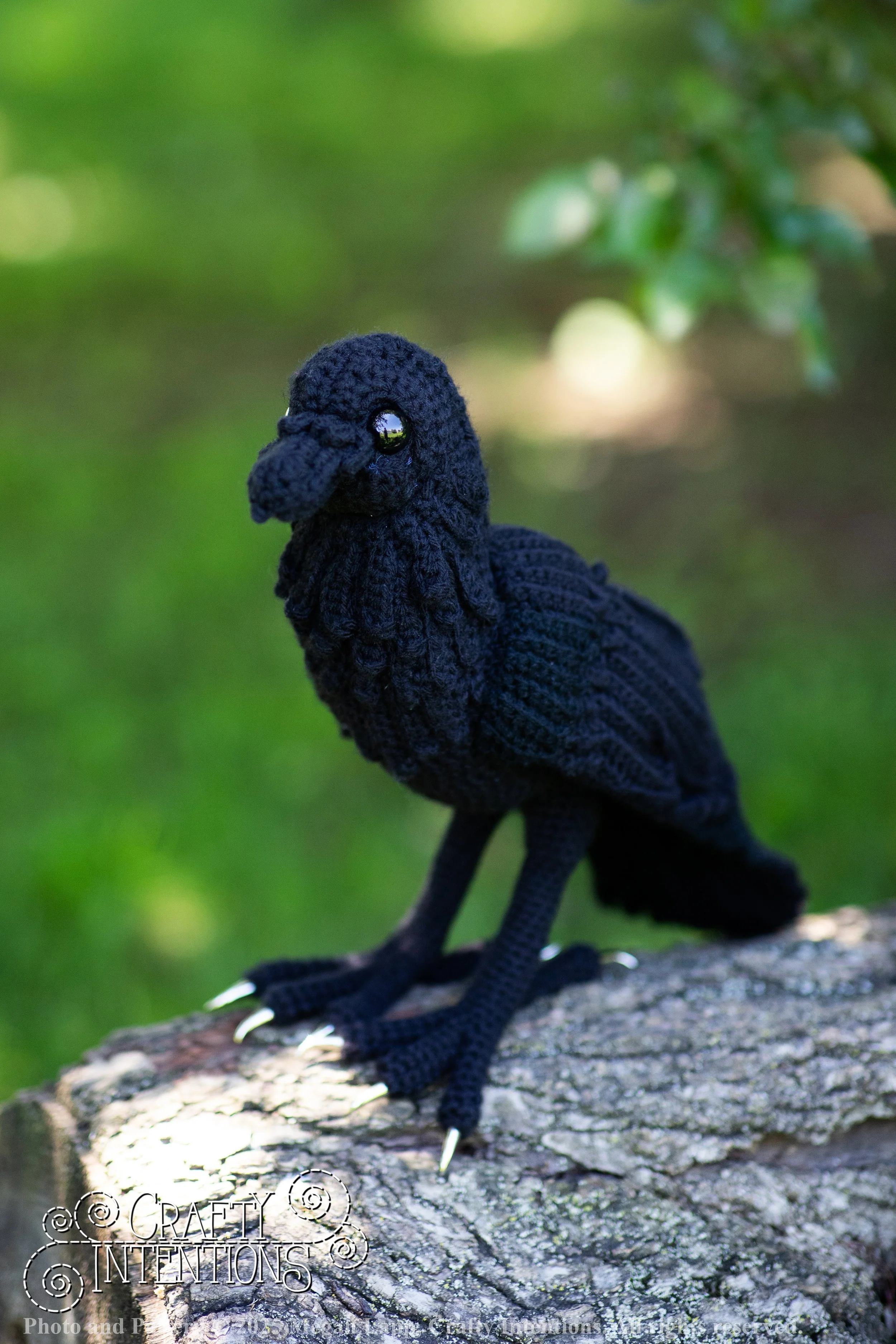 IMG_4088edited standing raven wlac.jpg
