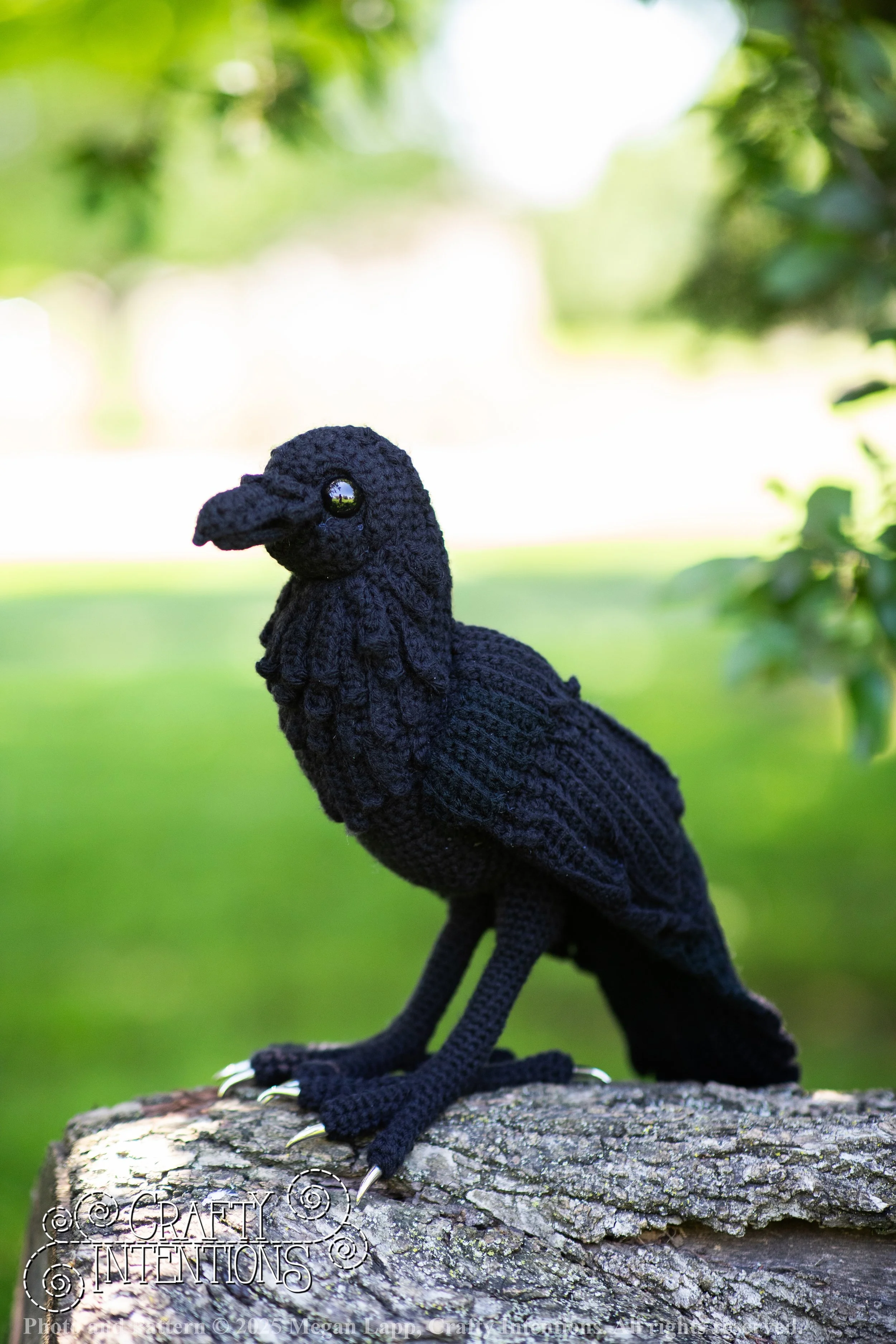 IMG_4085edited standing raven wlac.jpg