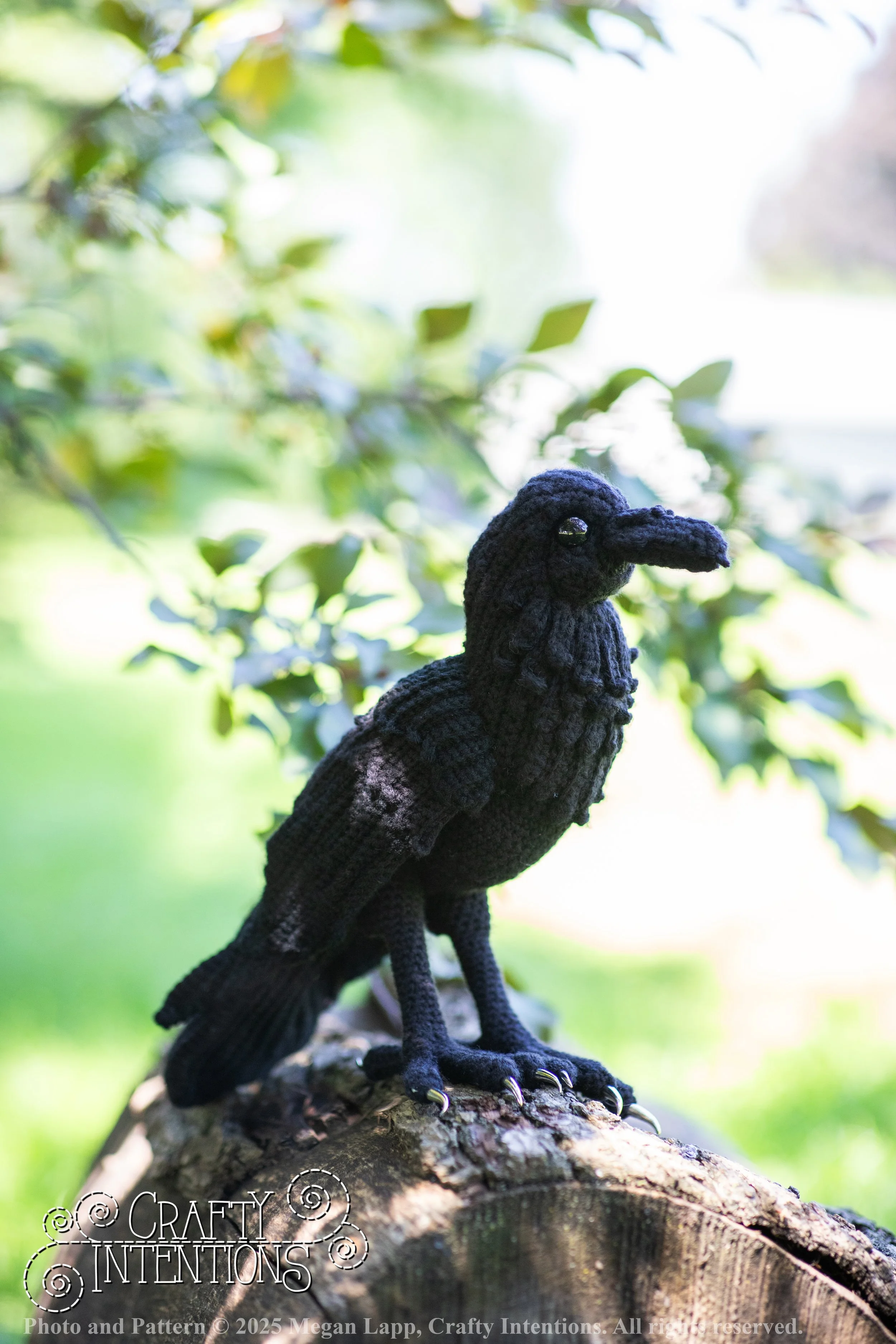 IMG_4094edited standing raven wlac.jpg