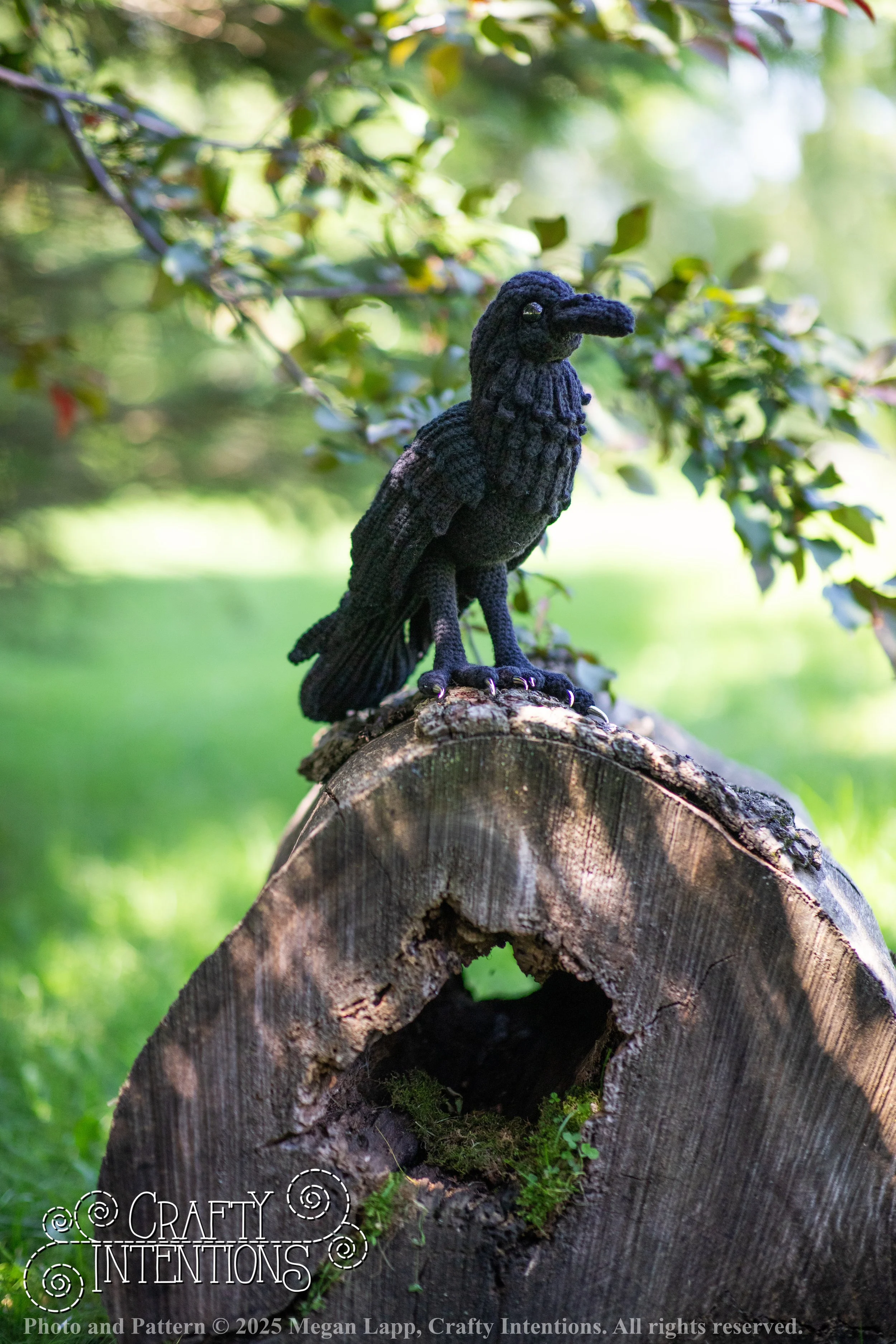 IMG_4097edited standing raven wlac.jpg