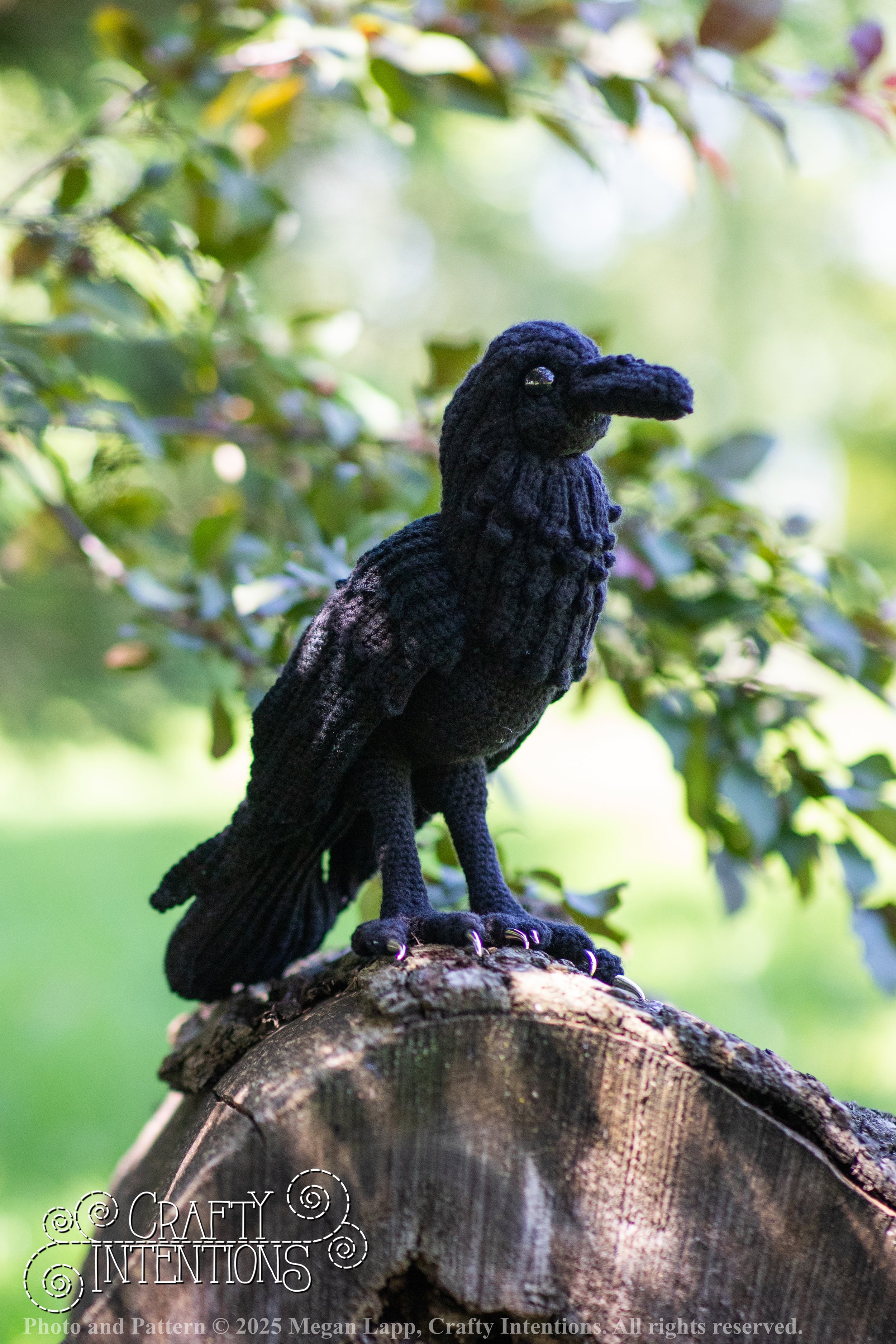 IMG_4099edited standing raven1 wlac.jpg