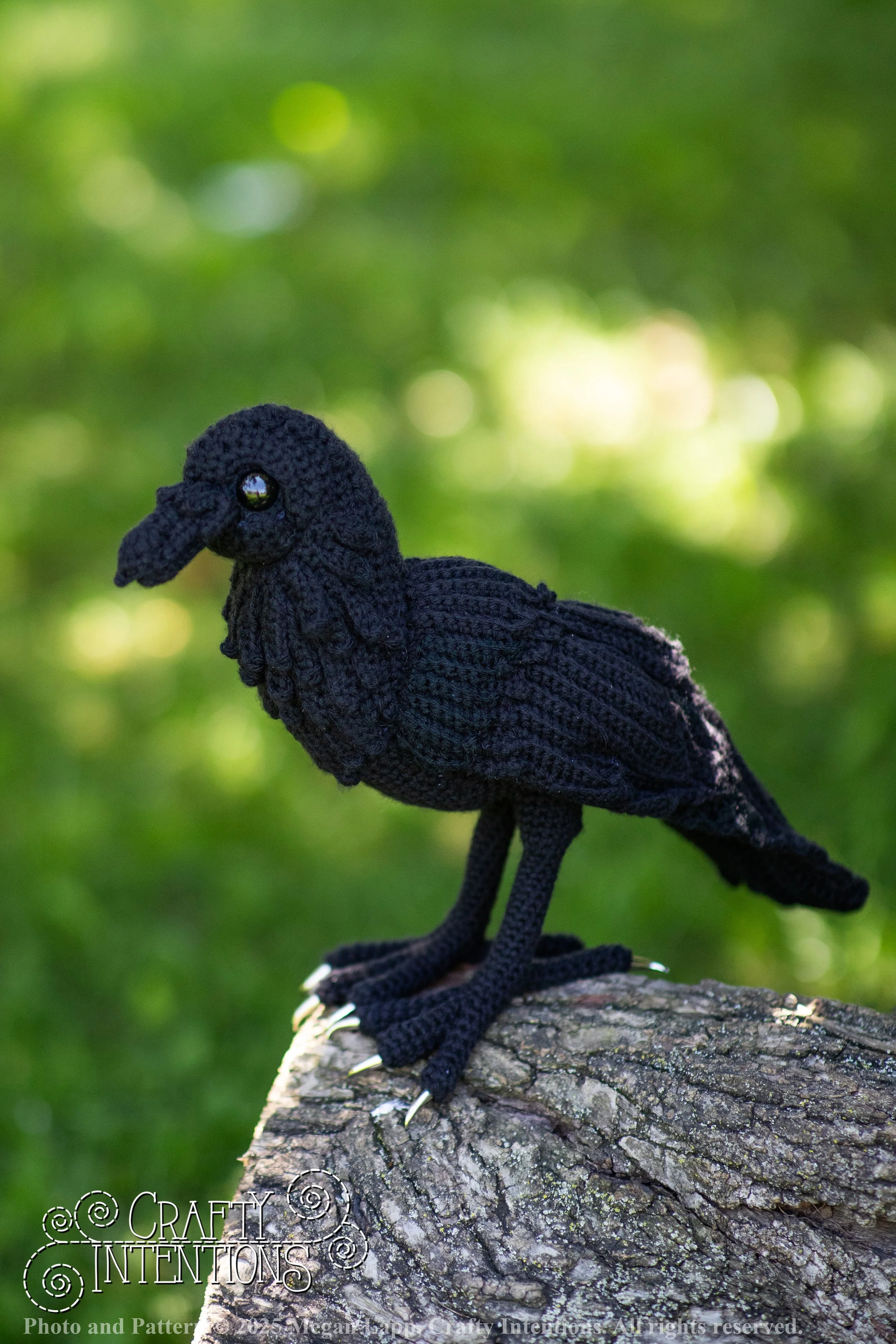 IMG_4112edited standing raven1 wlac.jpg